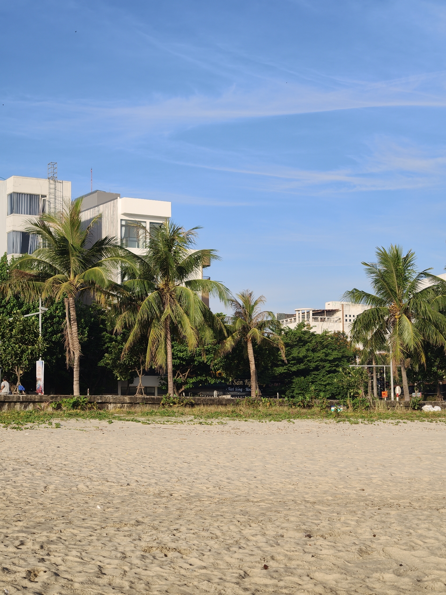 This is a vertical, eye-level, outdoor photograph of a sandy beach in Da Nang, Vietnam. In the foreground, the sand is textured with ripples and small indentations. The midground features a row of palm trees and dense green foliage, with a concrete wall running along the edge. Behind the trees, there are several white, modern buildings, some appearing to be hotels or apartments. The sky is a clear blue with thin, wispy white clouds. Two small birds are visible in the sky. On the far left, near the edge of the beach and behind a sign, two people are visible, one sitting on a bench and another walking. To the right of the palm trees, there are some streetlights and signs. The overall impression is a tranquil beach scene in a tropical urban environment.