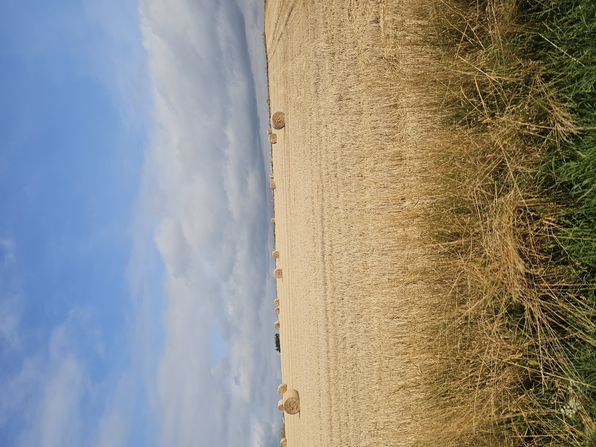 The image depicts a post-harvest wheat field in Ergeshausen, Germany. Numerous cylindrical hay bales are scattered across the golden stubble, indicating agricultural activity. The sky is a mix of blue and grey clouds, suggesting variable weather. The foreground features uncut grass and weeds, transitioning into the harvested field. The scene appears to be devoid of human presence, focusing solely on the natural landscape and the remnants of the crop.