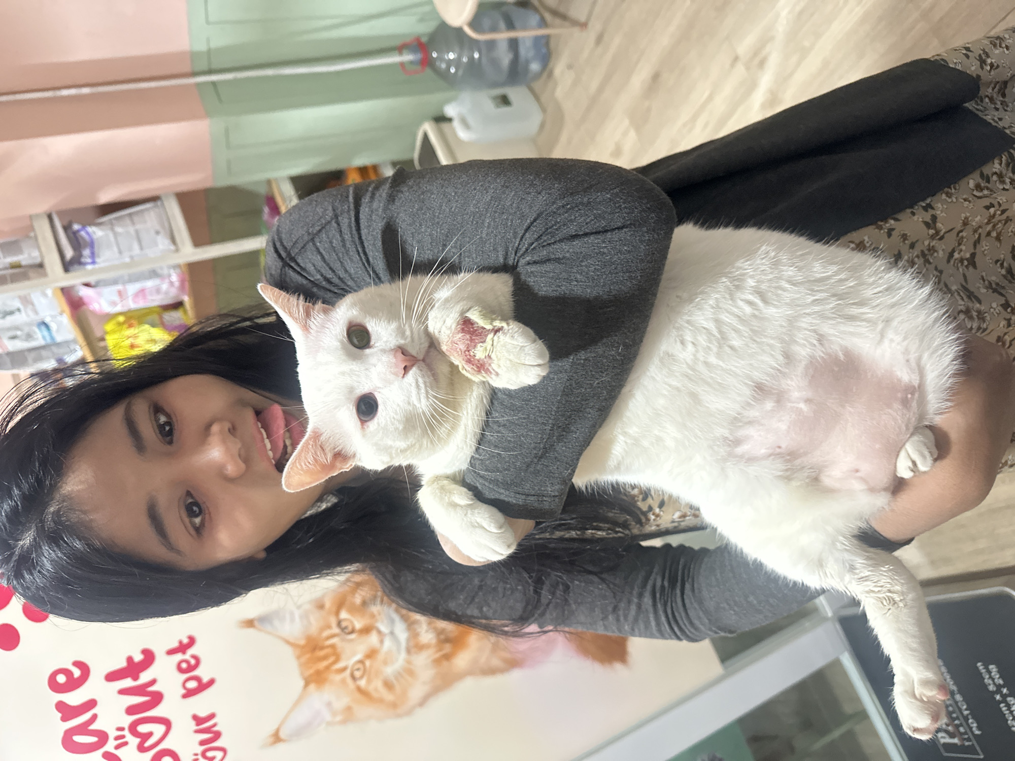A person is holding a white cat with heterochromia (different colored eyes) in their arms. The cat has a wound on its front paw. The person is standing in what appears to be a veterinary clinic in North Jakarta, Indonesia, based on the background including shelving, and the presence of veterinary-related signage and equipment. The person has black hair and is sticking their tongue out.
