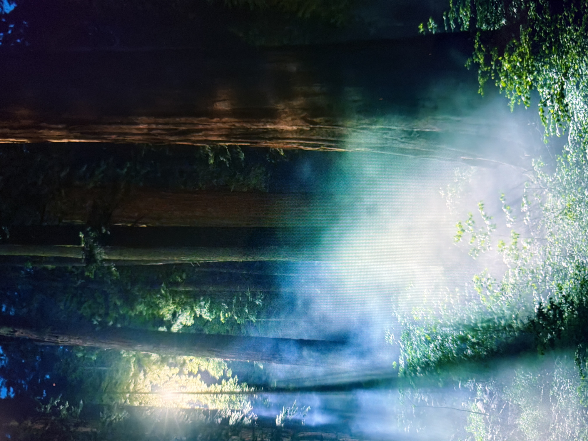 The image shows a dense forest with tall trees and lush green foliage. Sunlight streams through the canopy, creating beams of light that illuminate mist or fog rising from the forest floor. The mist has a bluish-green hue, adding an ethereal quality to the scene. The trees appear to be ancient, with thick, textured bark. The ground is covered with undergrowth and smaller plants. The overall atmosphere is serene and mysterious. This image does not depict any specific location in the city of Kyiv, Ukraine.
