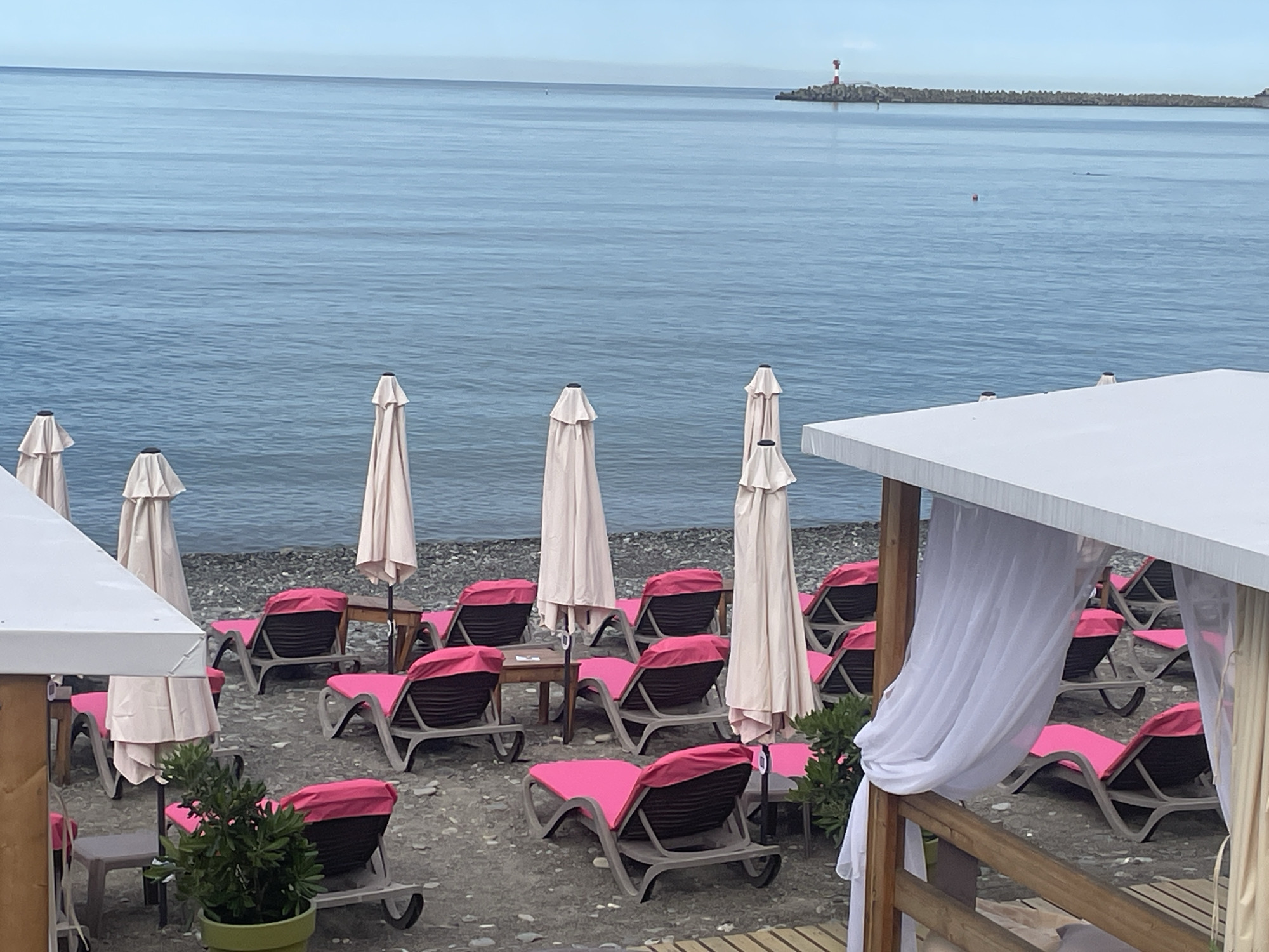 This is a photograph taken at a beach resort in Sochi, Russia. The image features a wide expanse of the Black Sea under a clear, pale blue sky. In the foreground, a beach area is set up with numerous lounge chairs, most of which are empty. These chairs have dark frames and bright pink cushions. Several beach umbrellas, mostly closed and covered with beige fabric, are interspersed among the chairs, along with a few small wooden tables. To the left and right, white canopies with draped white fabric suggest covered seating or cabanas. A small potted plant with green leaves is visible in the lower left corner. In the distance, a breakwater extends into the sea, topped with a lighthouse that has a red band and a white top. The water appears calm with subtle ripples. The beach itself is covered in small, dark pebbles. No people are visible in the frame.