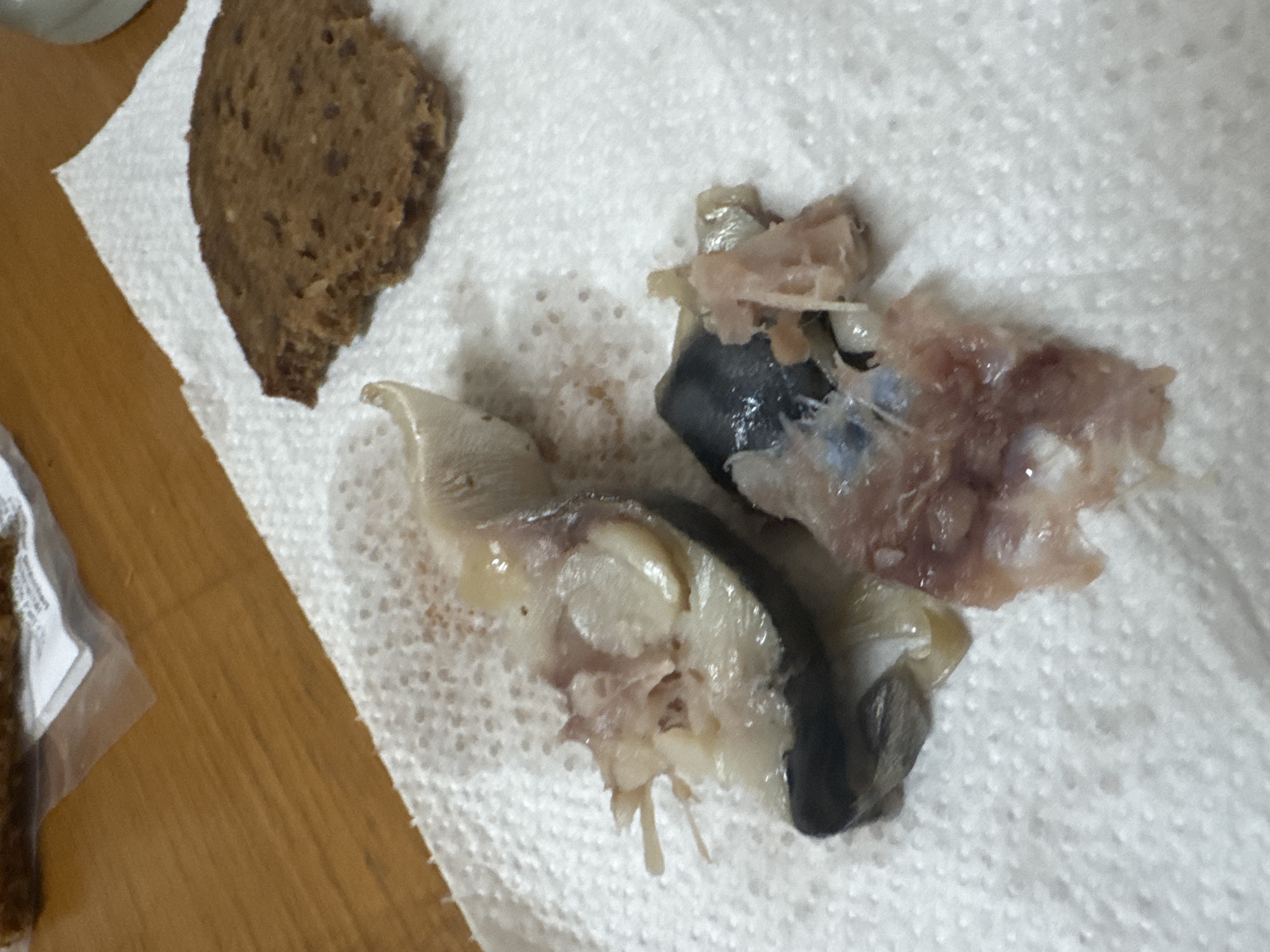 The image shows two pieces of cooked fish on a white paper towel. One piece is mostly white with some dark skin. The other piece is a mix of white and pink flesh with visible bones. To the right of the fish is a slice of dark bread. In the background, a wooden surface is visible. The image appears to be taken indoors, likely in a home environment in Bellheim, Germany.