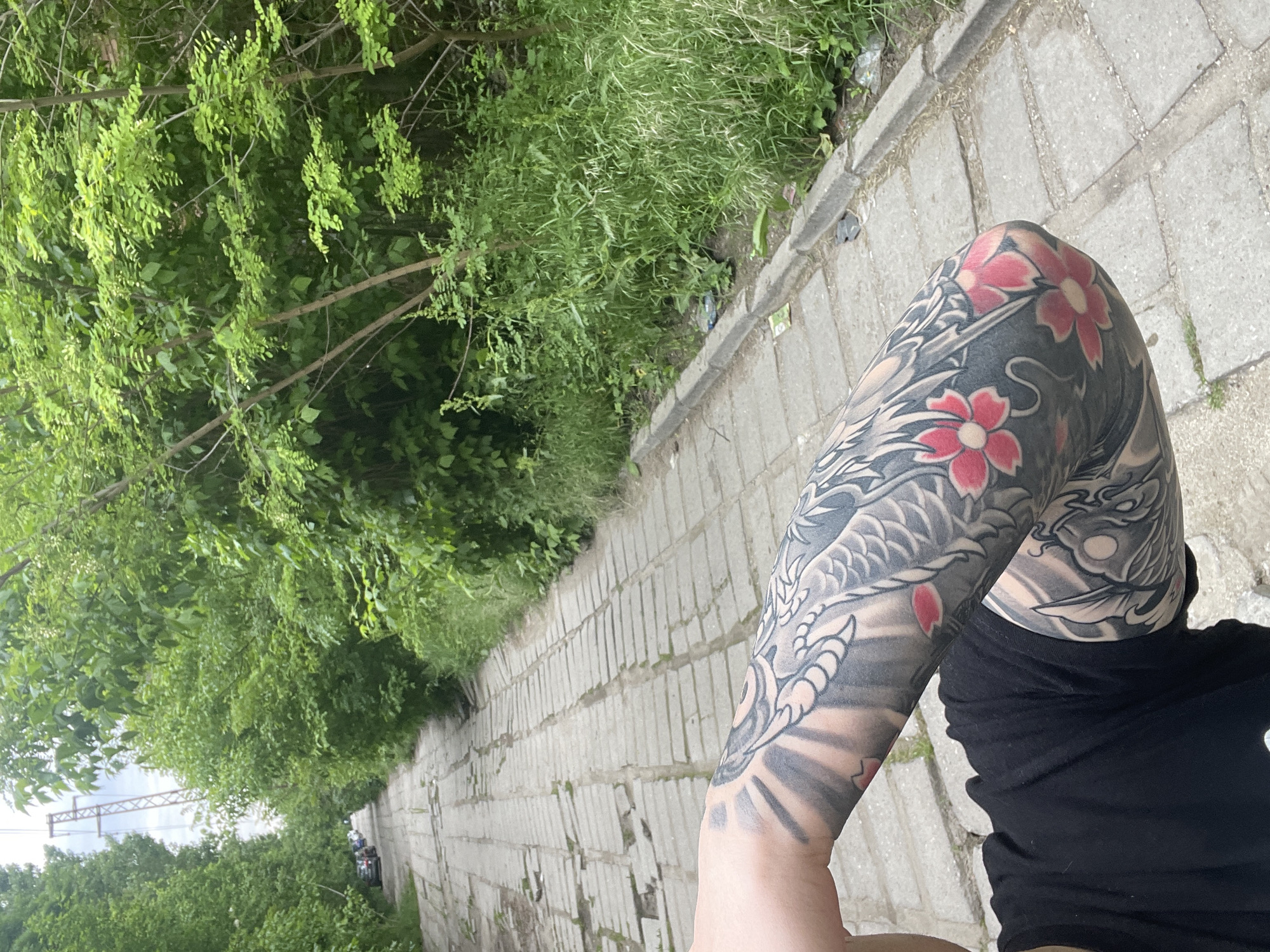 The image shows a person standing on a gray brick pathway, with a fully-sleeved dragon tattoo on their arm, featuring red floral accents near the elbow. They are wearing a black t-shirt. The pathway is bordered on one side by dense green foliage. In the background, trees and a metal structure are visible. The location is possibly in Plovdiv, Bulgaria, based on the appearance of the architecture and vegetation, but this is not explicitly confirmed.