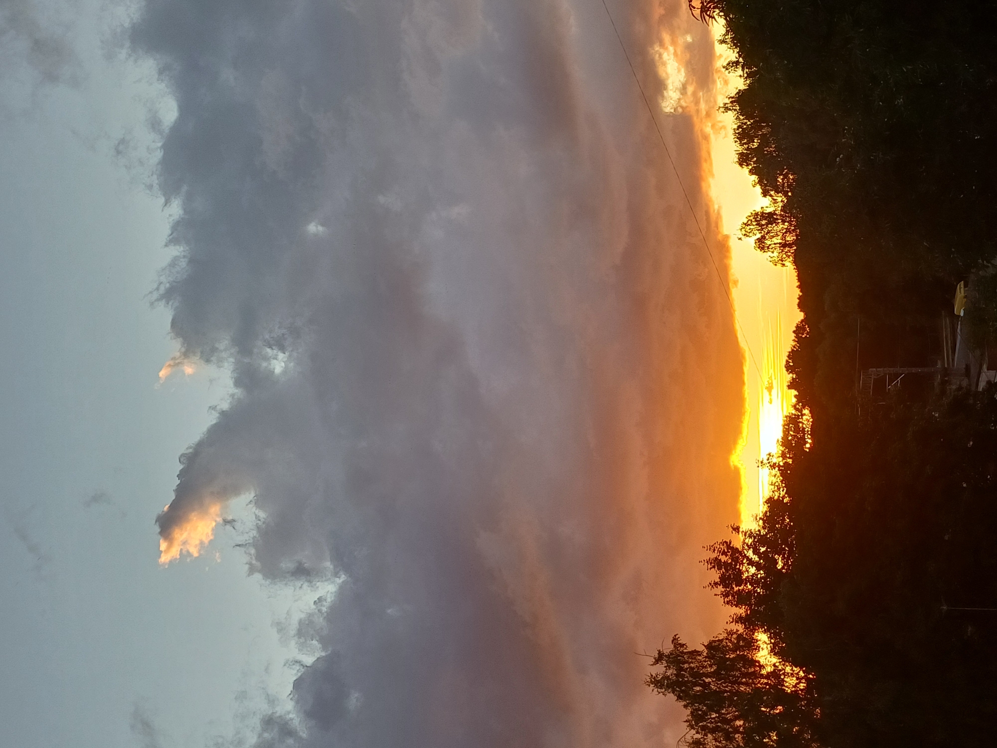 The image depicts a sunset in Riga, Latvia. The sky is filled with dramatic clouds, with a band of vibrant orange and yellow hues at the horizon, indicating the setting sun. Above this warm glow, the clouds transition to shades of grey and pale blue. Silhouetted against the bright sky is a line of dark green trees, forming the upper edge of a wooded area. In the foreground, the dense foliage of trees obscures much of the ground, but hints of man-made structures, possibly rooftops and utility poles, can be discerned through the leaves. The overall impression is one of a natural sunset occurring over an urban or semi-urban landscape.
