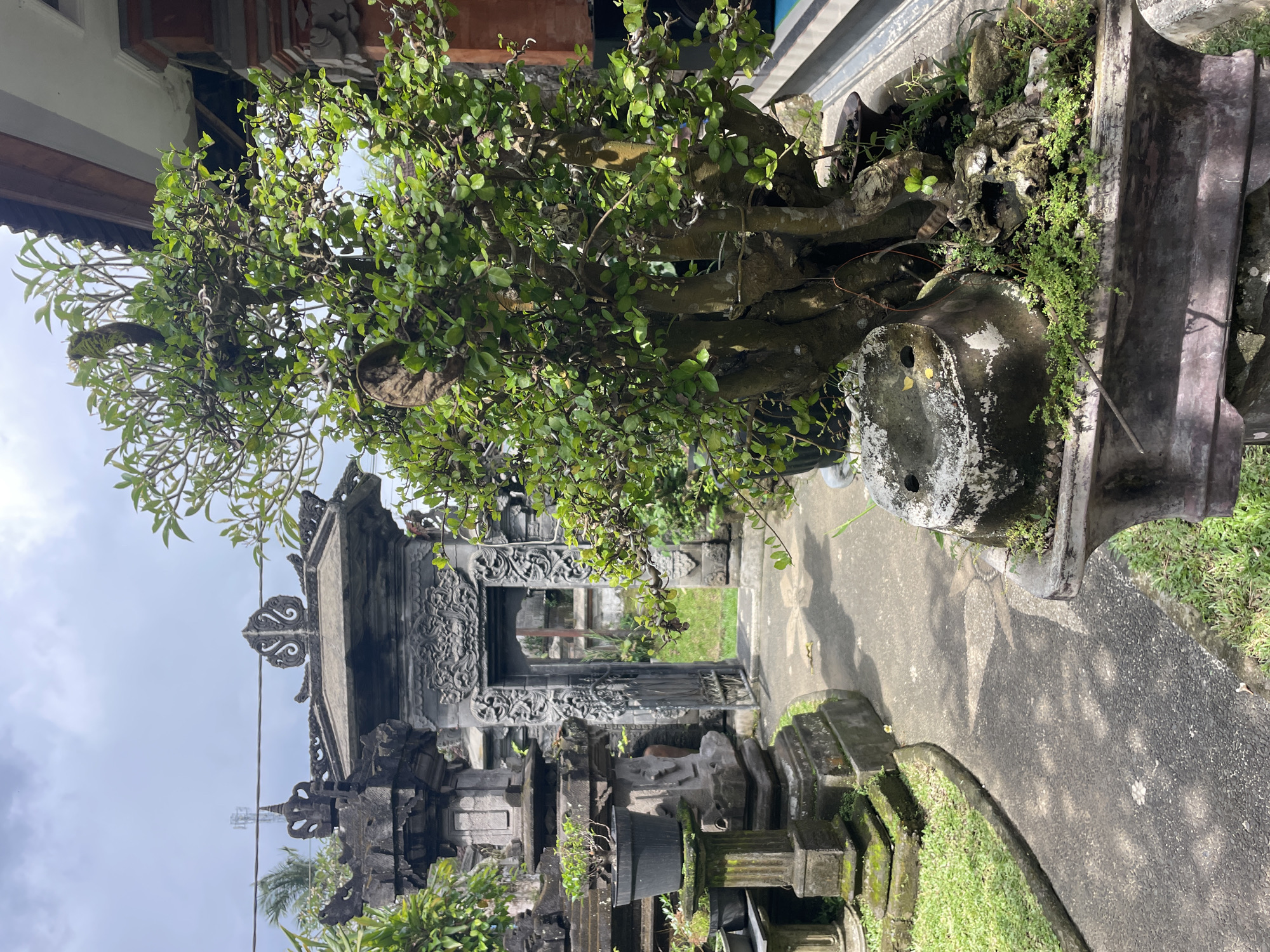 The image shows a stone-carved gate or entrance in an outdoor setting. The gate is adorned with ornate carvings and appears to be part of a traditional architectural style. A path leads towards the gate, and a large bonsai tree or shrub is positioned to the right of the path, partially obscuring the view. The ground around the path is a mix of stone and grass. The sky is overcast, suggesting a cloudy day. The specific location is not identifiable from the provided image.