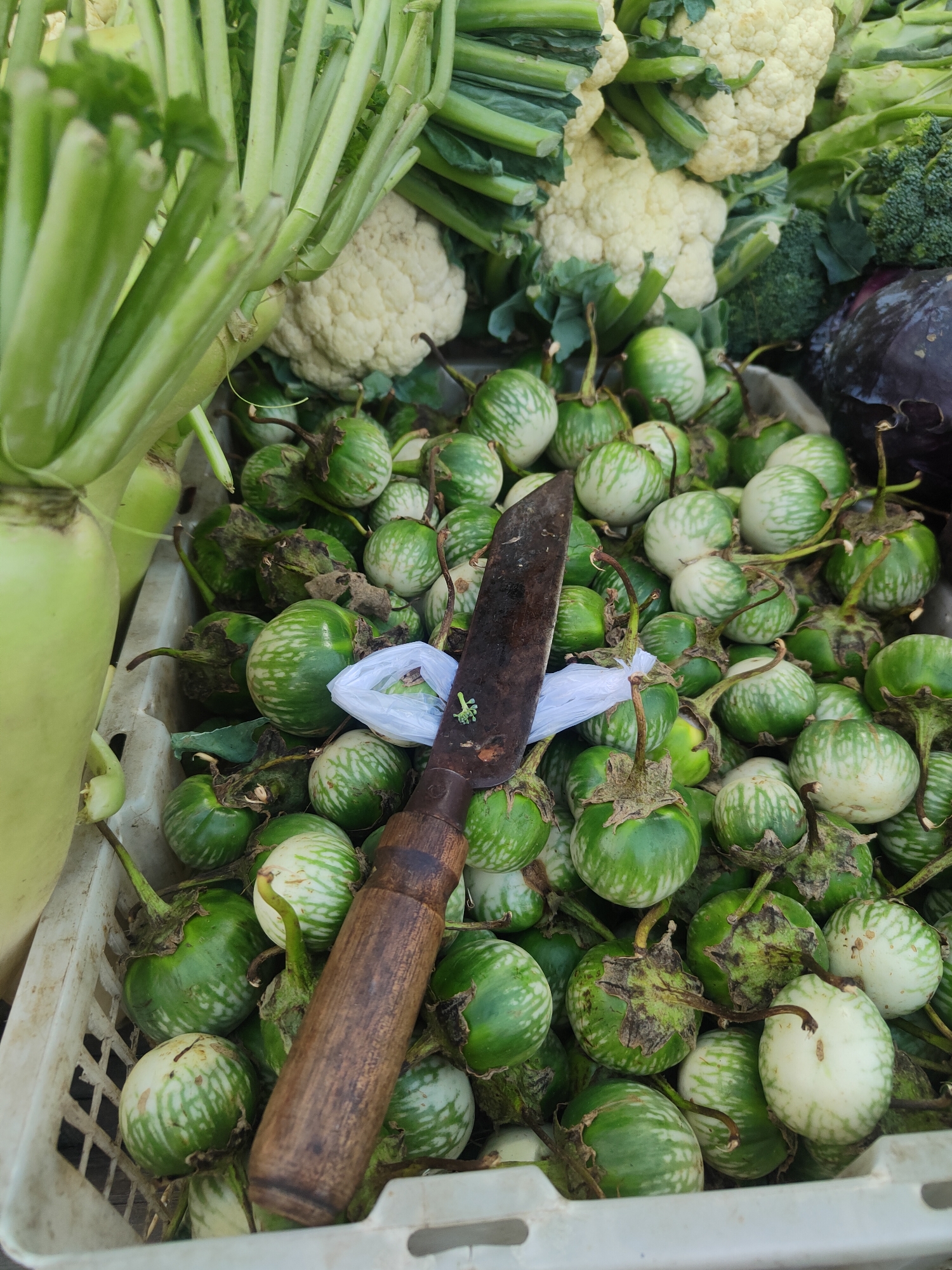 A market stall in Kauman, Indonesia, displays an assortment of fresh produce. In the foreground, a white plastic basket overflows with small, round green and white striped eggplants, some with dried stems still attached. A rustic wooden-handled knife with a dark blade rests on top of the eggplants, partially obscured by a white plastic bag. Behind the eggplants, a large, pale green radish with leafy tops is visible on the left. In the background, various other vegetables are piled high, including cauliflower, broccoli, and possibly red cabbage. The overall scene suggests a vibrant local market environment.