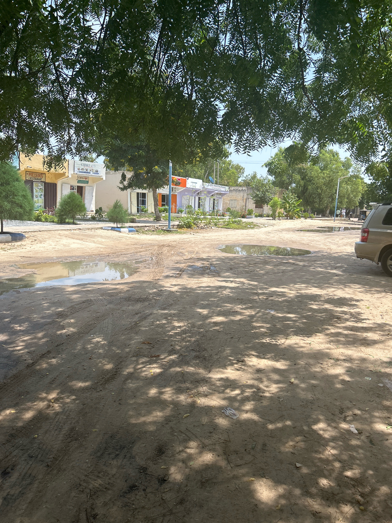 The image depicts a dusty, unpaved street in Mairi, Nigeria, with several buildings visible in the background. A large tree with dense foliage casts dappled shadows across the foreground, which is covered in dirt and tire tracks. Puddles of water are scattered across the ground, indicating recent rainfall. In the background, a row of shops and restaurants line the street, some with colorful awnings and signage. One establishment is identified as "PRECIOIUS RESTAURANT." A light-colored SUV is parked on the right side of the image. The sky is clear and blue, suggesting a sunny day. Several small, conical trees are planted along the paved walkway in front of the buildings. The overall scene is one of a typical urban environment in Nigeria, characterized by a mix of commerce and natural elements.