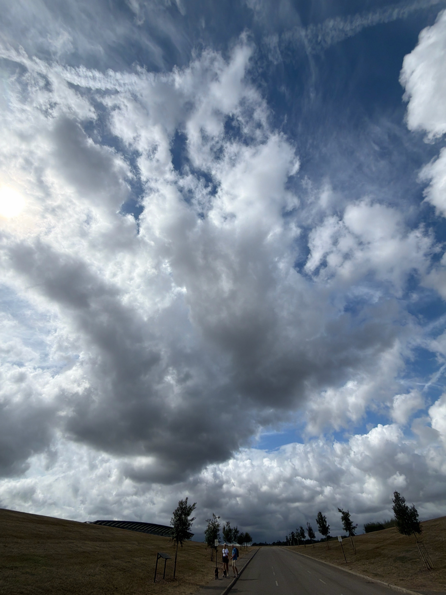 An overcast sky with dramatic clouds dominates the image, with patches of blue sky visible between them. The sun is partially obscured by clouds on the left side, casting a bright light. The scene is set in a wide-open, grassy area with a road running through it, suggesting a park or recreational space.
On the right side of the road, a person is walking a dog. Further down the road, another person is walking or jogging. A line of trees is planted along the embankment on the right side of the road, and several more trees are scattered across the landscape. In the background, a modern building with a distinctive roof structure is visible, possibly a stadium or a large public facility. The overall atmosphere is one of a dynamic sky over a serene, natural landscape.