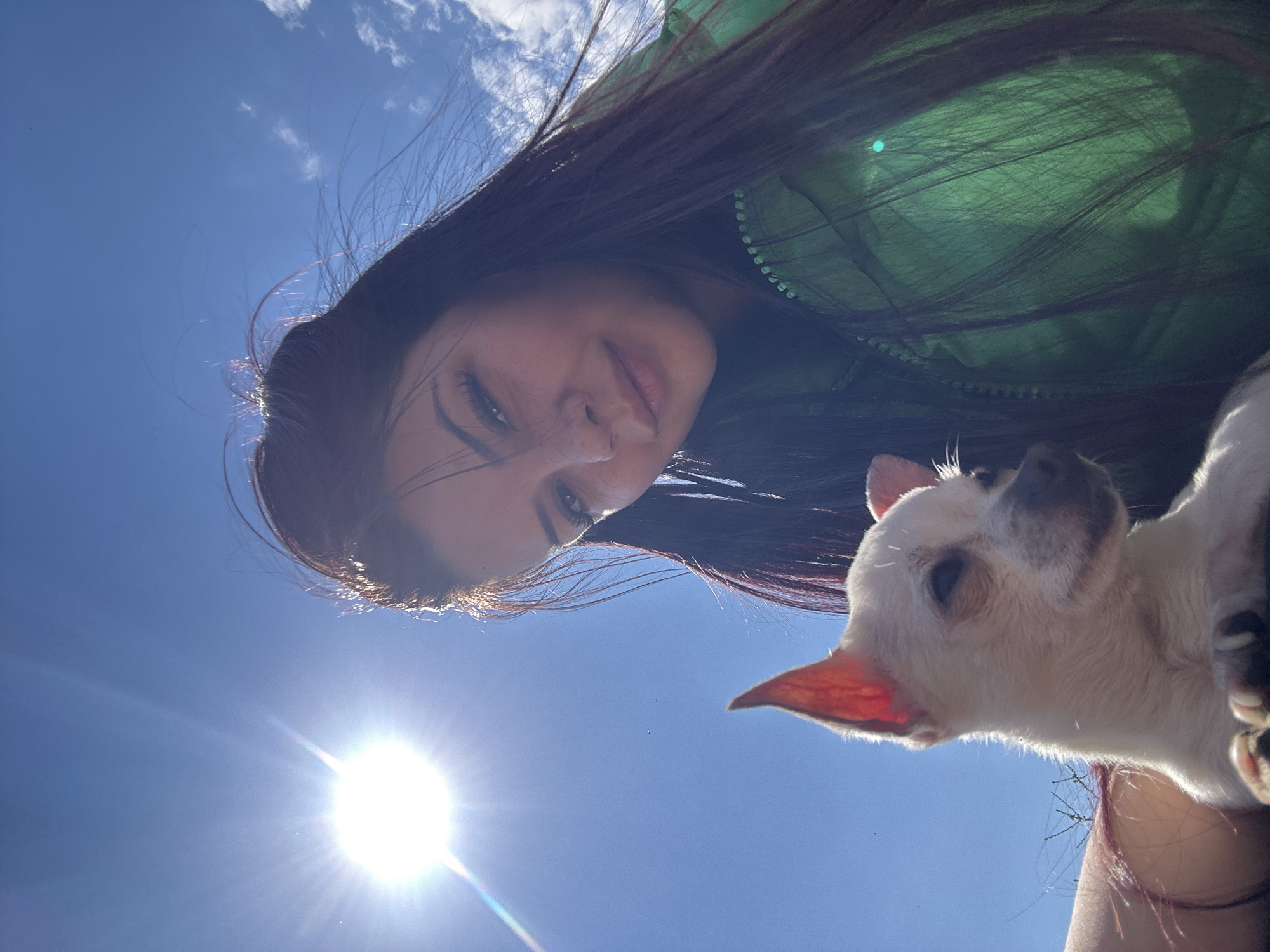 A woman with long, dark hair, wearing a green jacket, holds a small, light-colored dog against a bright blue sky with a low sun and some clouds. The location cannot be determined.