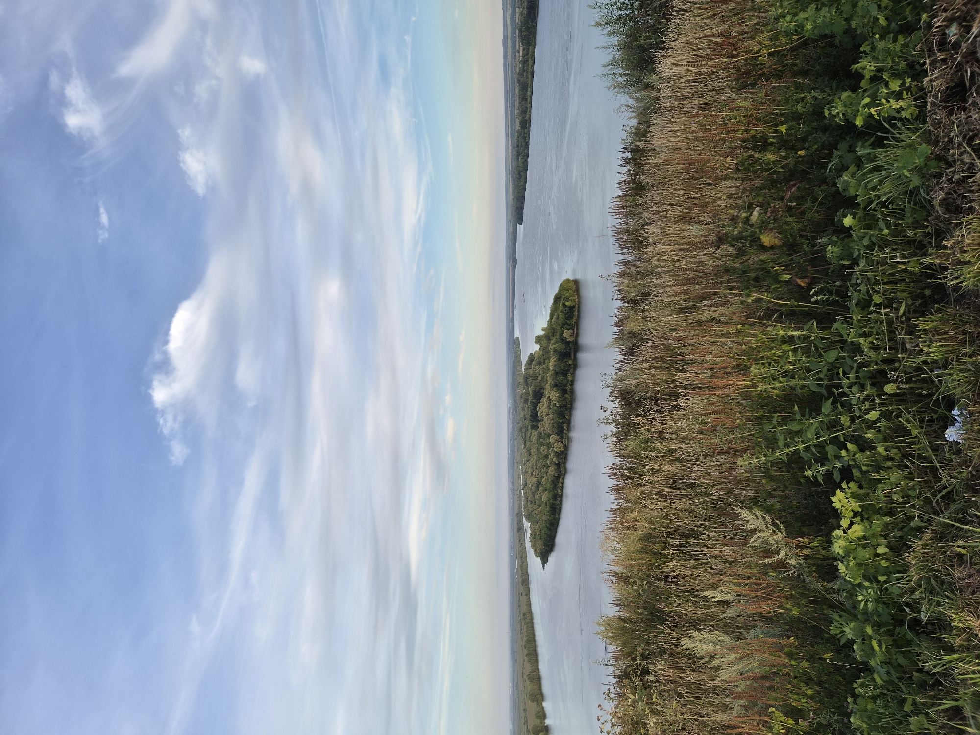 A wide, calm river with a lush green island in the center dominates the landscape under a partly cloudy blue sky. The foreground is filled with tall, dry grasses and green foliage, suggesting a hilltop view. The horizon is lined with trees on either side of the river, and the distant landscape appears flat and agricultural. In the far distance, hints of structures and possibly a town are visible. The overall scene depicts a serene natural environment. This view is of the confluence of the Kama and Vyatka rivers near the city of Yelabuga, Russia.