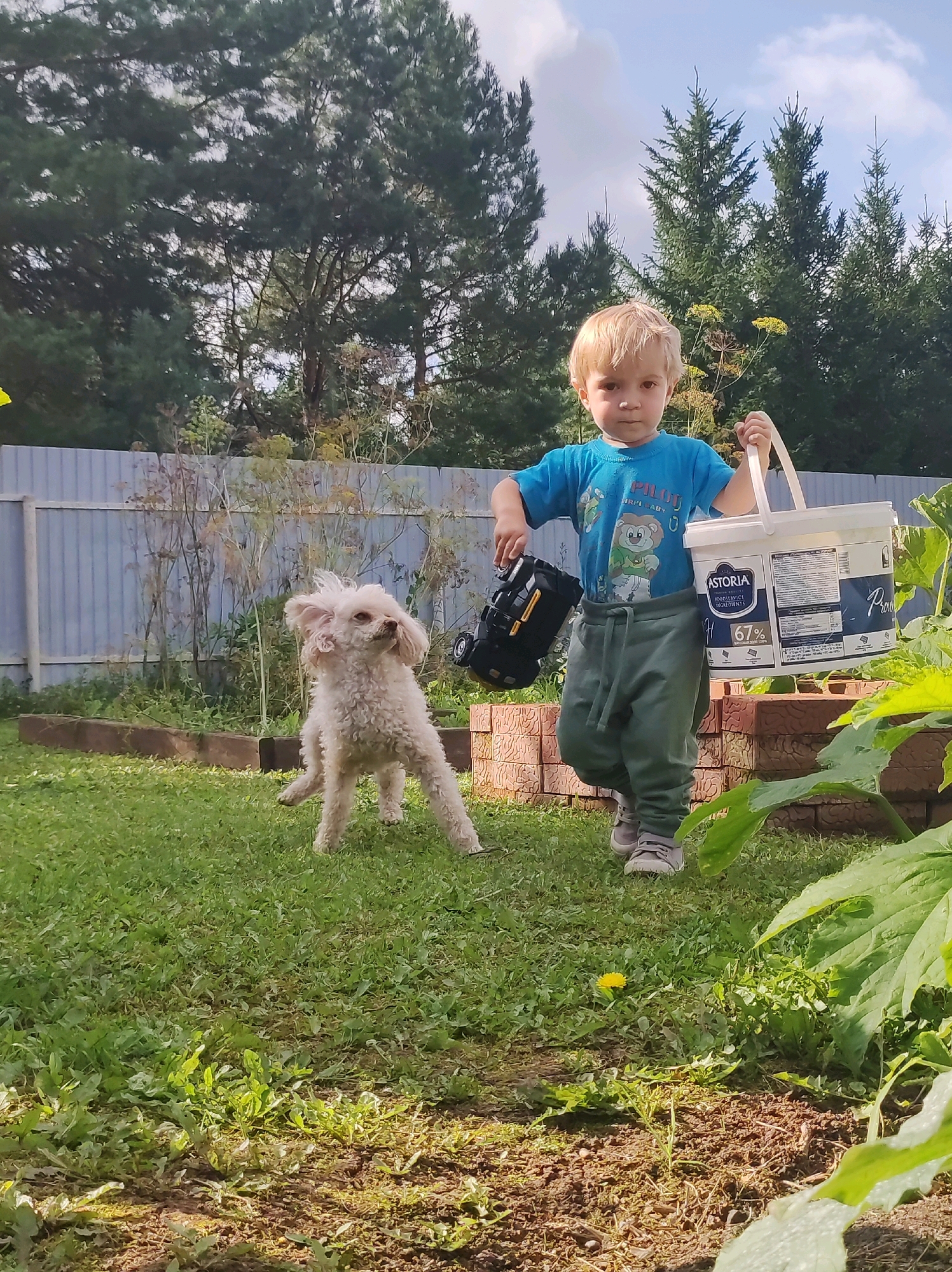 A young boy with blonde hair and blue eyes, wearing a blue t-shirt and green sweatpants, is walking on a green grassy lawn. He is carrying a large white bucket in his right hand and a black toy truck in his left hand. To his left, a small white poodle is standing on the grass. In the background, there is a light-colored fence, some trees, and a cloudy sky. The scene appears to be a backyard, possibly in a suburban area, given the presence of a fence and a garden. The location is stated to be Фоки, Russia, although no specific landmarks within the city are visible in the image.