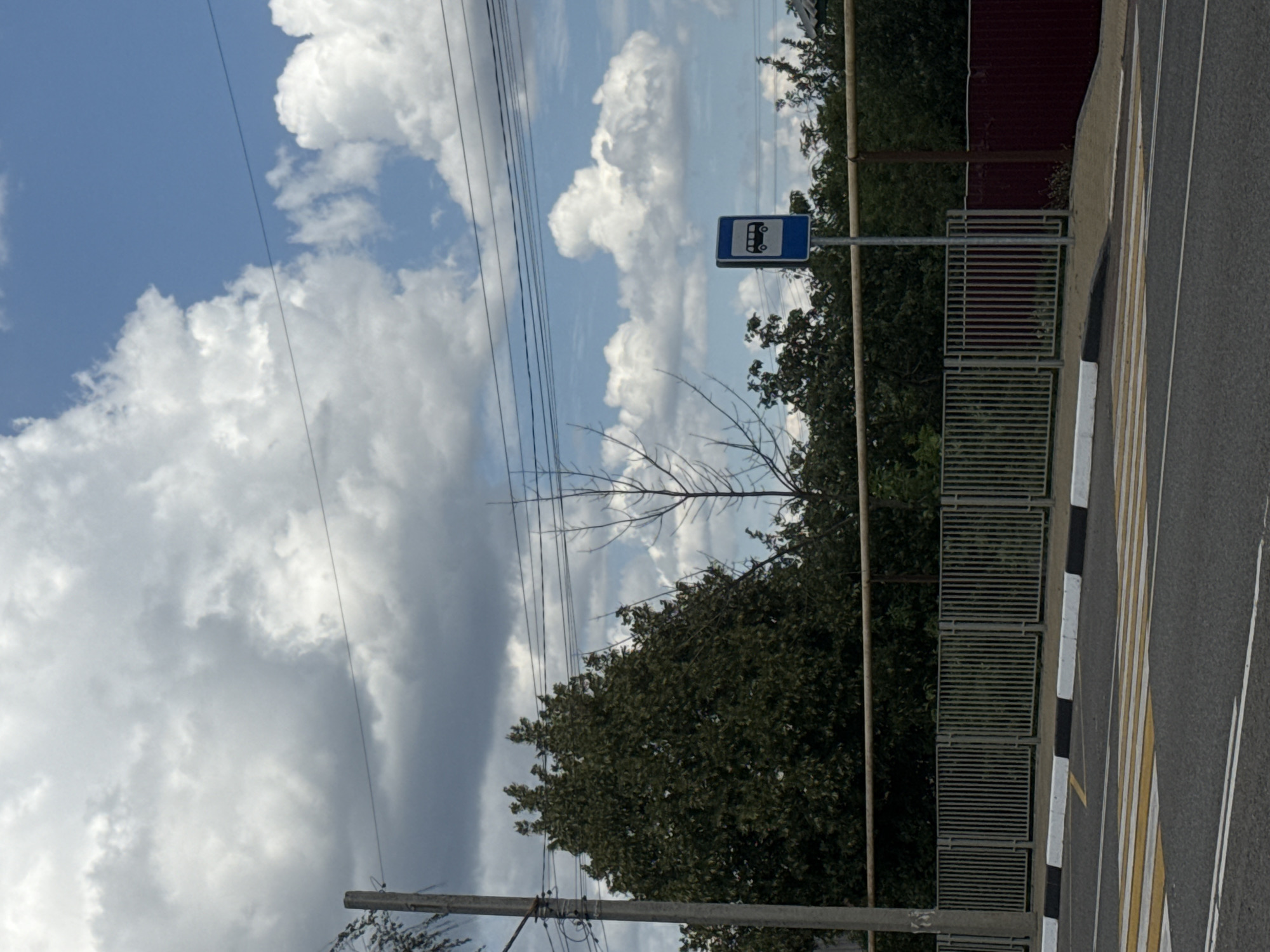 In Shulhynka, Ukraine, a street scene unfolds under a sky dotted with white, fluffy clouds against a blue backdrop. A paved road dominates the foreground, marked with a yellow and white striped crosswalk. Beyond the crosswalk, a metal fence runs horizontally, separating the road from a grassy area with a beige sidewalk.
To the left of the fence, a tall, grey utility pole stands, its wires stretching across the frame. Behind the fence, dense green trees form a thick backdrop. A bare tree with intricate branches is visible between the utility pole and the bus stop sign.
A blue bus stop sign, featuring a white silhouette of a bus, is prominently placed on a metal pole. To the right of the bus stop sign, a dark red metal fence borders the property. The overall environment suggests a typical urban or semi-urban setting on a bright day.