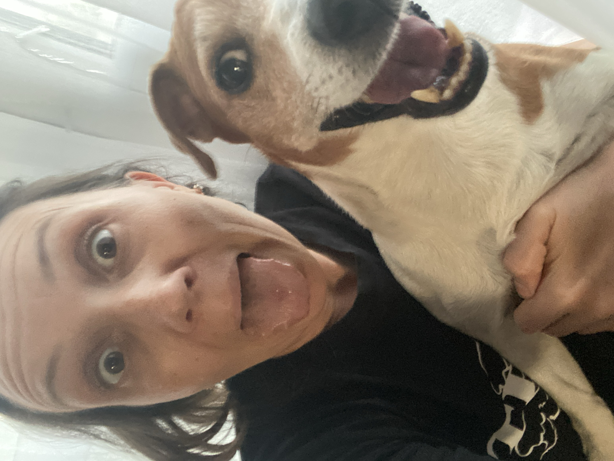 A woman and a dog are in a close-up selfie. The woman is sticking out her tongue and making a surprised face, her eyes wide. She has dark hair and is wearing a black shirt with a white design. The dog is brown and white and has its mouth open, showing its teeth. The background is a blurred white. There is no indication of location in the city of Chaikovsky, Russia.