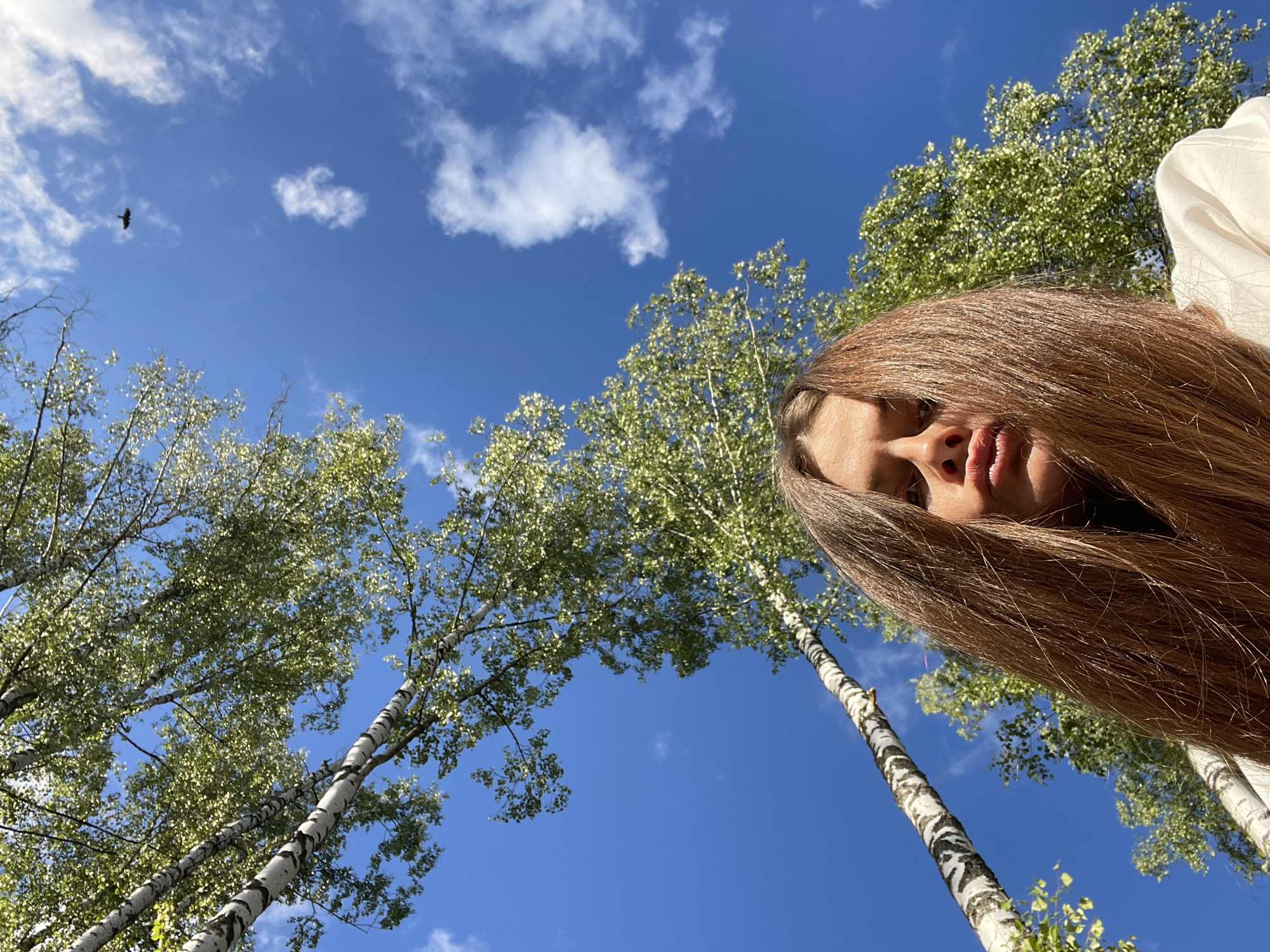 This is a low-angle shot of a young woman looking up at the sky through birch trees. She has long, light brown hair that partially covers her face. Her mouth is slightly open, and her eyes are looking upwards, suggesting she is looking at something in the sky or enjoying the view. The woman is wearing a white top.
The scene is set outdoors, with tall birch trees dominating the foreground and mid-ground. Their distinctive white bark with black markings is clearly visible, and their branches are adorned with bright green leaves. The background is a vibrant blue sky with scattered white clouds. A single bird is visible flying in the upper left quadrant of the sky.
The lighting suggests it is daytime, likely a sunny day given the bright blue sky and the highlights on the leaves and the woman's hair. The presence of green leaves indicates it is likely spring or summer. The overall mood is one of peace and connection with nature. The location is identified as Zarechny, Russia. No text is visible in the image.