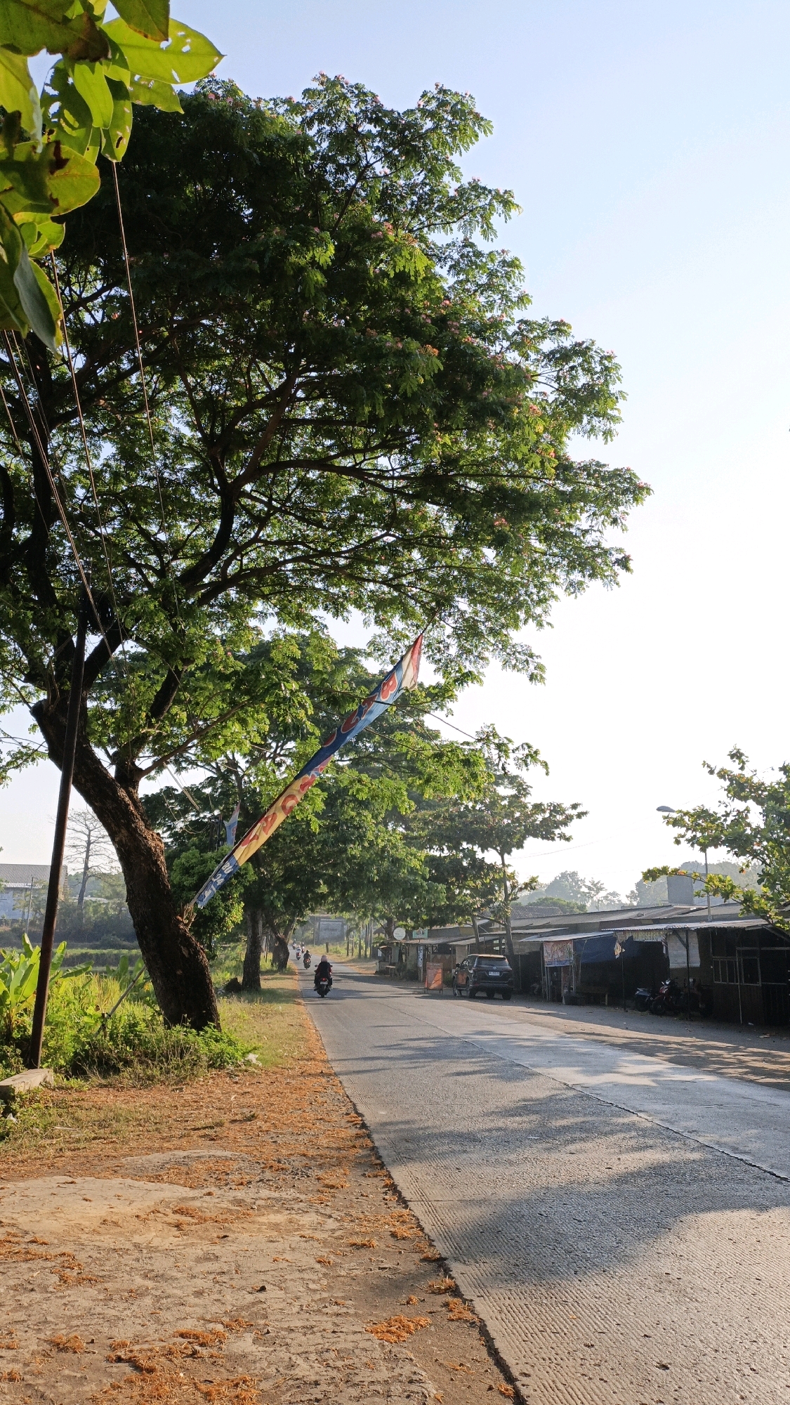 A long shot captures a sun-drenched road lined with trees in Bandengan, Indonesia. The sky is a clear, pale blue, with the sun casting long shadows across the asphalt. On the left side of the road, a large tree with lush green foliage dominates the foreground, its branches stretching towards the sky. A colorful flag, possibly an Indonesian flag given the colors, hangs from a wire attached to the tree. Beyond the tree, a grassy embankment slopes down to what appears to be farmland or vegetation.
The road itself is paved with asphalt and shows signs of wear, with a textured concrete shoulder on the right side. Several small shops or stalls with corrugated metal roofs are set up along the right side of the road, some with awnings providing shade. A few vehicles are visible, including a motorcycle in motion on the road, a black car parked to the right, and several motorcycles parked near the shops. One person is riding the motorcycle, and another person is standing near the parked car. The overall atmosphere is peaceful and rural, suggesting an early morning or late afternoon scene.