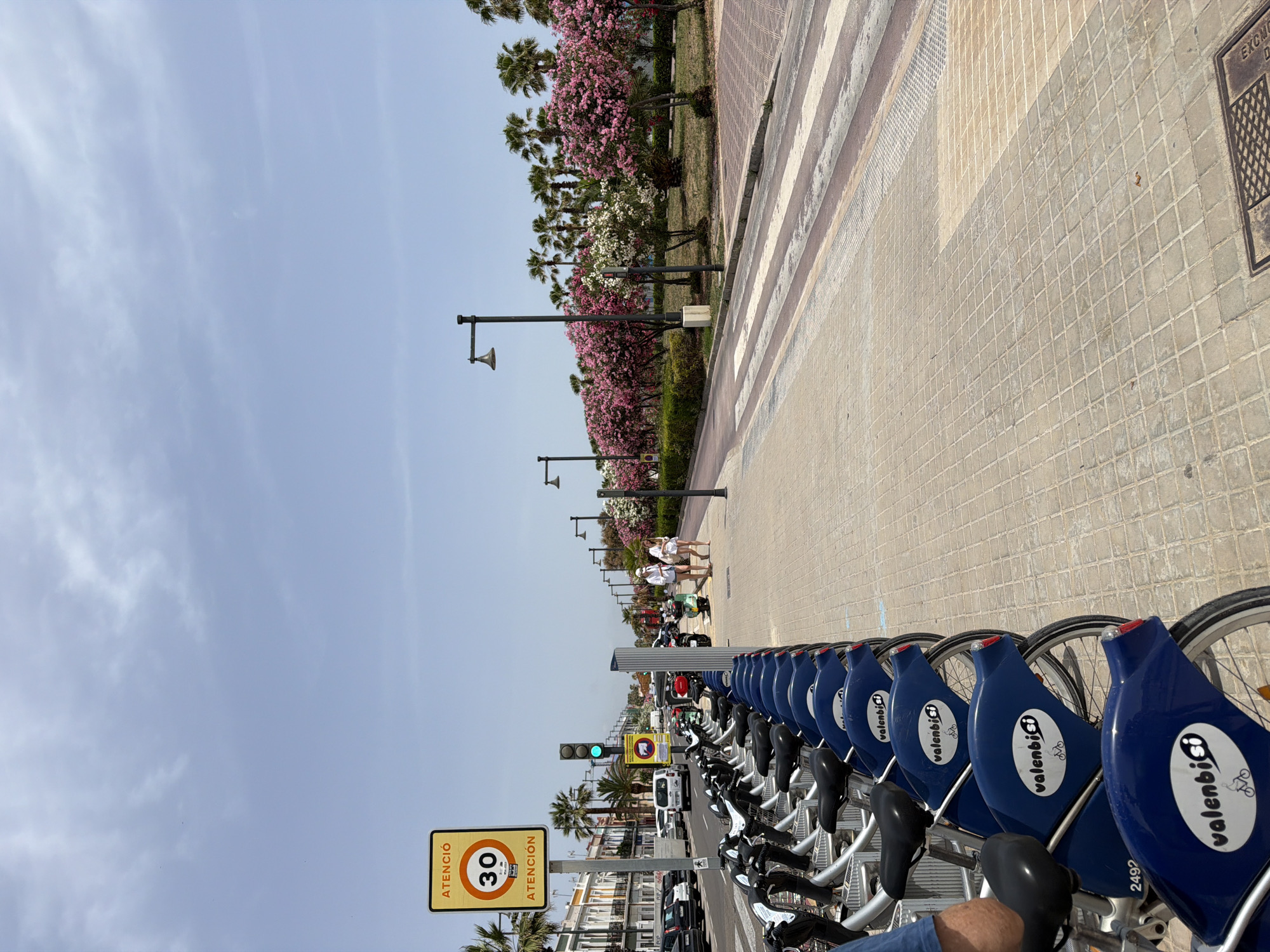 A row of blue Valenbisi bicycles are parked on a paved sidewalk in front of a street. A speed limit sign showing "30" is visible in the upper left corner of the image, along with a traffic light that is green. The street is lined with buildings and palm trees, and there are flowering trees with pink and white blossoms along the right side of the street. Two women are walking on the sidewalk in the distance. The sky is blue with some scattered clouds.