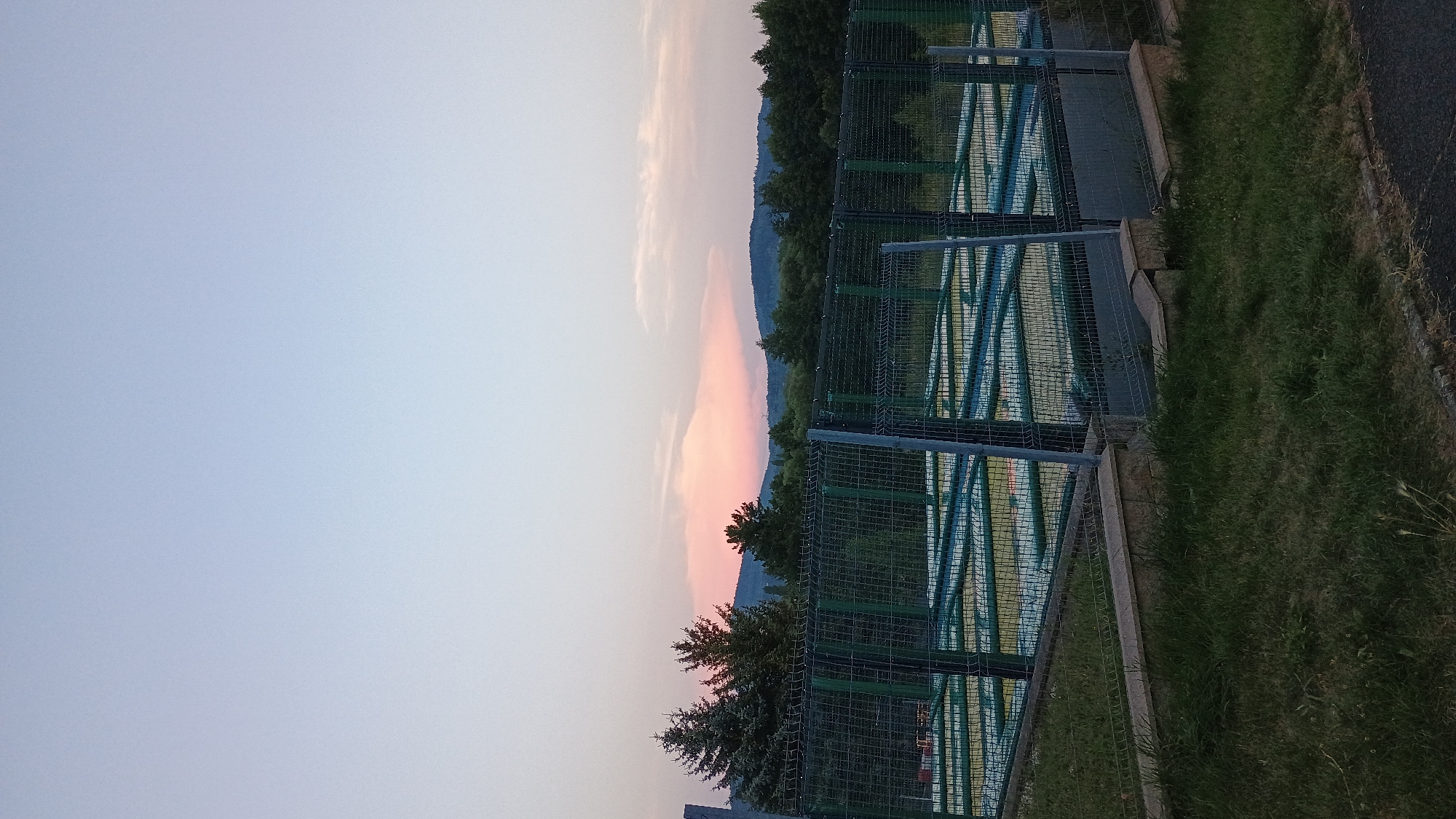 The image depicts an outdoor area with a fenced enclosure containing multiple trampoline beds. The sky above is a gradient of light blue fading to a pale pinkish hue at the horizon, suggesting either sunrise or sunset. In the background, a line of dark green trees forms a forest that extends across rolling hills. The foreground shows a grassy embankment with a concrete retaining wall and a metal fence. The trampoline area appears to be part of a recreational facility, possibly a trampoline park or playground. The overall scene is calm and natural, with no people or activity visible within the frame. The location is identified as Sokolov, Czechia.