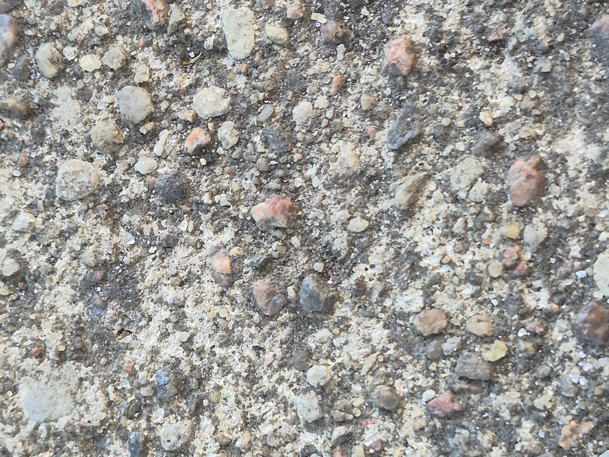 The image depicts a close-up, ground-level view of a patch of gravel and sand, likely found on a street or pathway in Švenčionys, Lithuania. The surface is composed of numerous small stones, pebbles, and coarse sand grains. The colors range from light gray and beige to darker shades of gray and brown, with occasional specks of reddish-orange from the stones. The texture appears rough and uneven, characteristic of an unpaved or weathered surface. No people, animals, or discernible structures are visible in the frame. The lighting suggests an outdoor environment, possibly under natural daylight. The scene is devoid of any specific landmarks or identifying features that would pinpoint a precise location within the city.