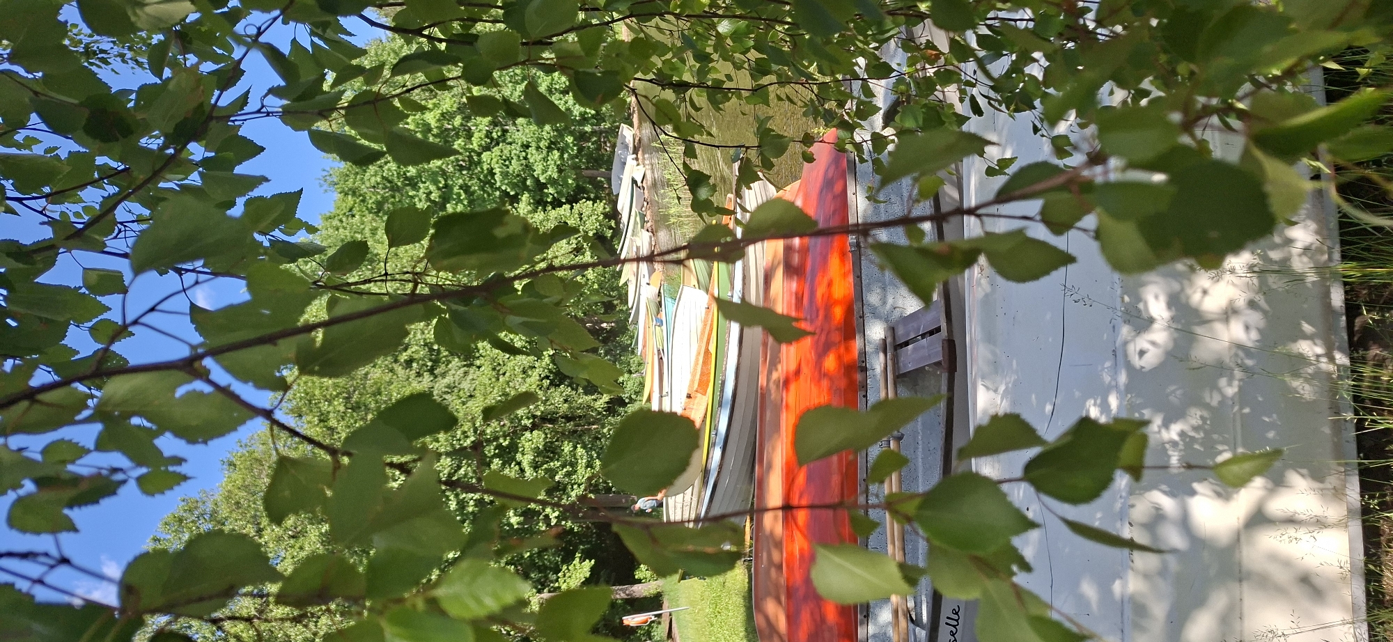 This media file captures an outdoor scene through a canopy of green leaves. The image is oriented vertically, showing a line of canoes docked along what appears to be a waterfront. The canoes are of various colors, including red, white, yellow, and green, suggesting a recreational or rental area.
In the background, lush green trees and a bright blue sky indicate a sunny day, likely in the late morning or afternoon given the quality of light and the shadows. The water is visible beyond the canoes, reflecting the trees and sky.
The setting appears to be a natural environment, possibly a lake or river in a park or recreational area. The presence of multiple canoes implies an activity related to boating or paddling. One of the canoes has a name written on its side, "Isabelle".
The overall mood is peaceful and serene, evoking a sense of summer leisure. The leaves in the foreground create a natural frame, adding depth and a sense of being immersed in nature. There are no people clearly visible in the image, but the context suggests human activity centered around the canoes. The scene is consistent with a location in Lahti, Finland, known for its lakes and outdoor recreational opportunities.