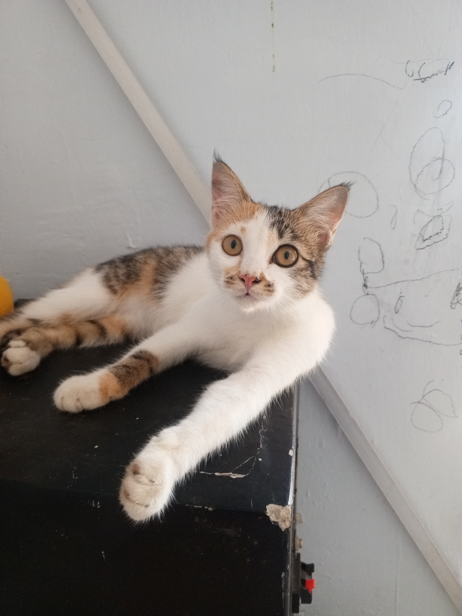 A calico kitten is lying on a black surface, possibly a speaker or cabinet, with its body extended. The kitten has white, brown, and orange patches and is looking directly at the camera with wide, amber eyes. Its front paws are resting on the surface, with one paw extended forward. The background is a light-colored wall with some scribbled drawings, and a diagonal white beam or molding. To the left of the kitten, a blurry yellow object is partially visible. The scene appears to be indoors. The location is not specified in the image.