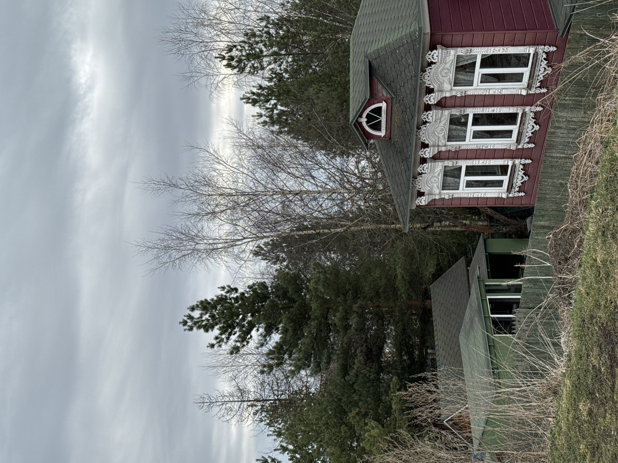 The image depicts a cloudy day scene in Ново-Никольское, Russia, featuring two adjacent houses. One house is painted a deep red with a green roof and has elaborately decorated white window frames. The other house is green with a dark roof. Both houses are partially obscured by bare trees and evergreen trees. The foreground consists of overgrown vegetation.