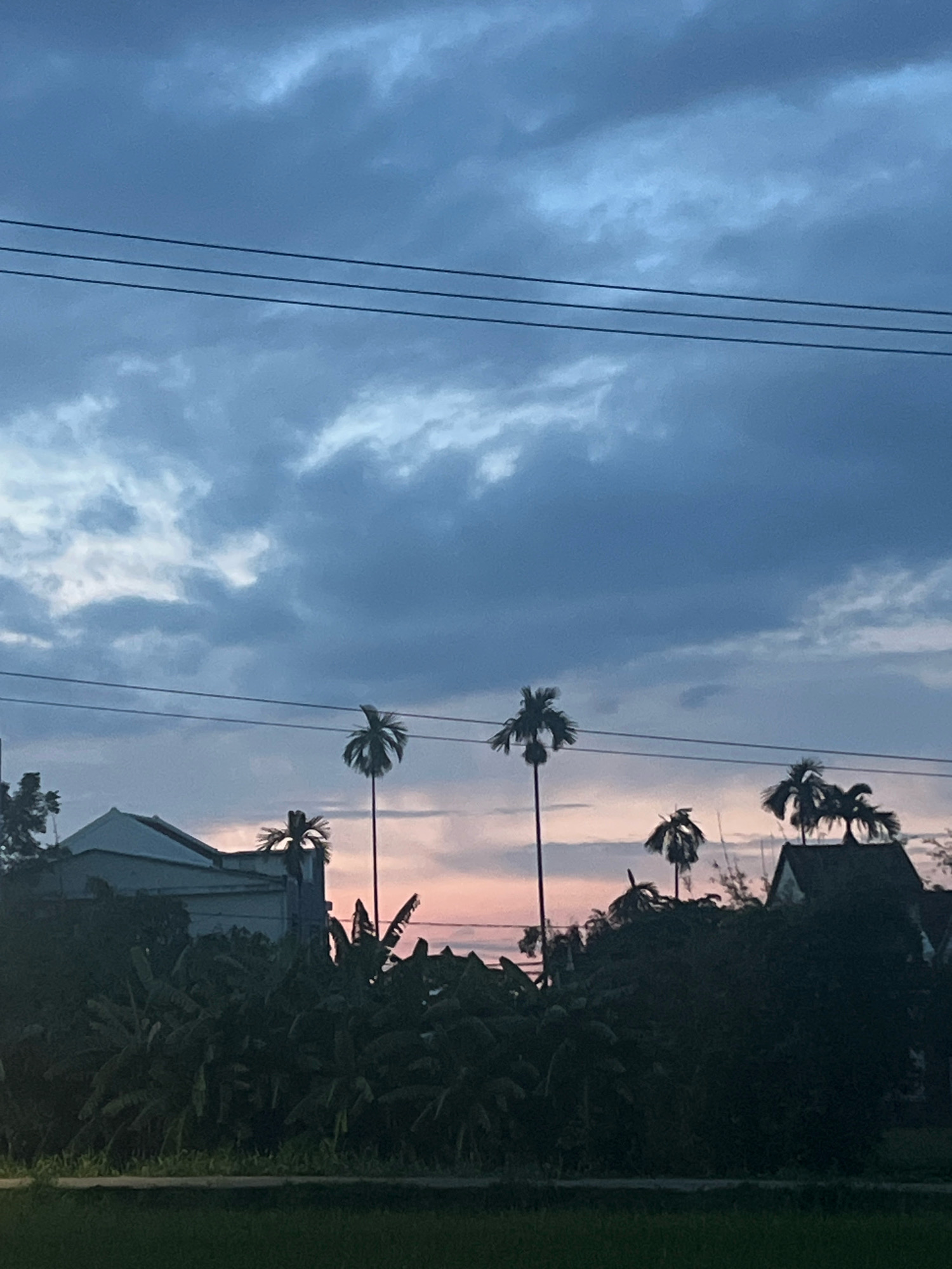 A view of a cloudy sky at dusk over the outskirts of Hoi An, Vietnam. Three dark power lines stretch horizontally across the upper half of the frame against a backdrop of gray and blue clouds, with hints of pink near the horizon. Silhouetted against the sky are several palm trees and lush, dark foliage. In the lower left, the peak of a building with a gray roof is visible, partially obscured by trees. To the right, another building with a dark roof and a prominent chimney or tower is visible, also surrounded by foliage. The foreground features a dark, indistinct area that appears to be vegetation or a field.