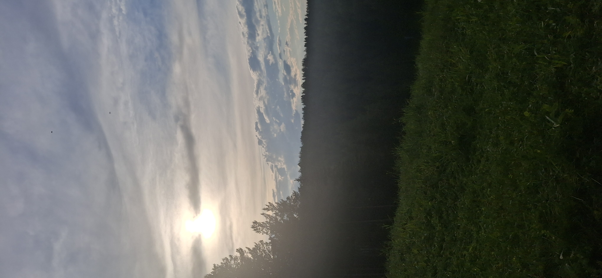 The image depicts a landscape scene with a blurred foreground of dark green grass and a dark forest stretching towards the center. Above the forest, the sun is visible, partially obscured by trees, casting a bright glow. The sky is filled with clouds, ranging from thin, wispy formations to denser patches. Two dark objects, possibly birds, are visible in the sky. The image appears to be taken in a rural or natural setting, possibly near the city of Прикамский, Russia, based on the prompt.