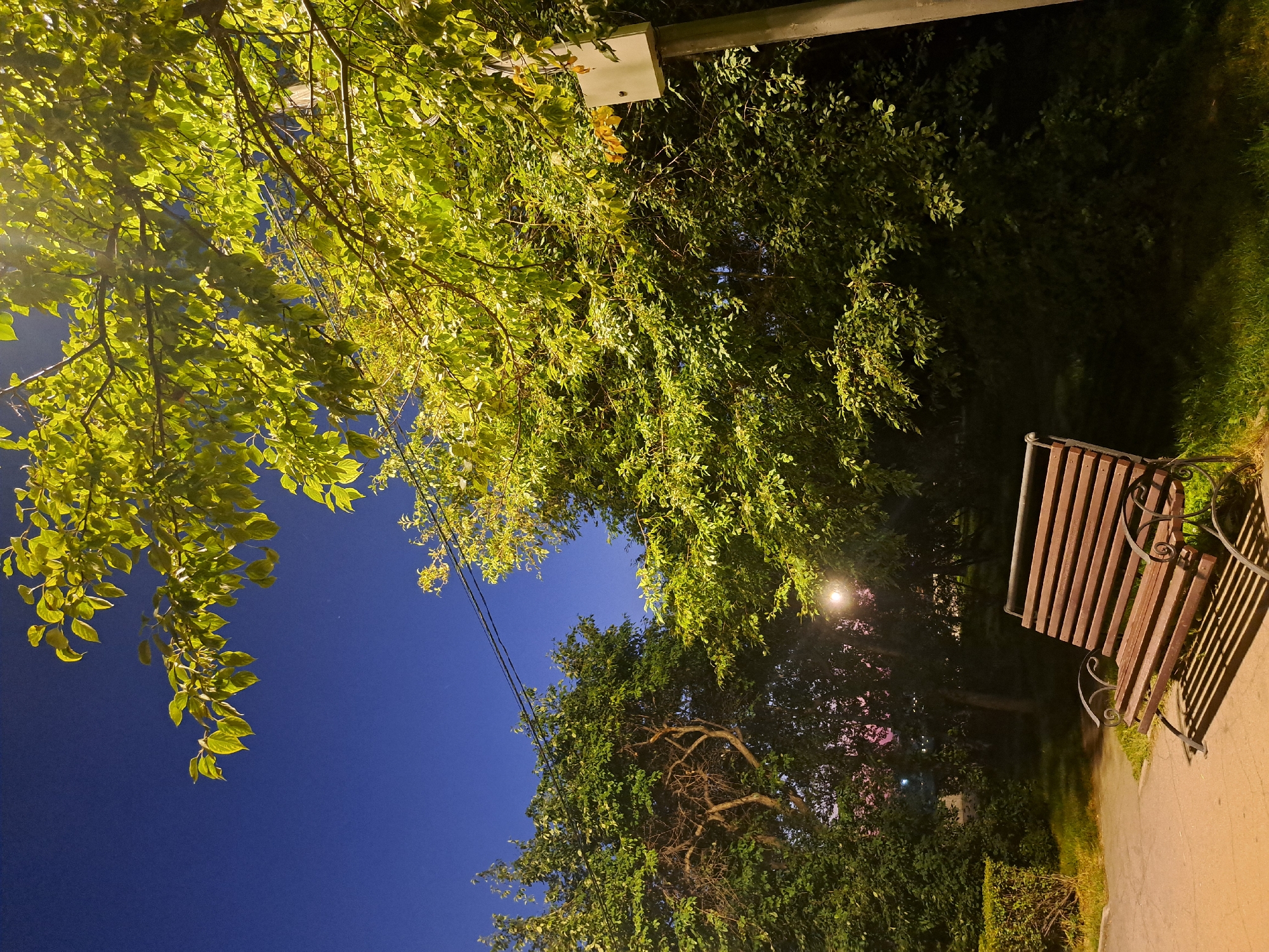 The image depicts a park bench in Irkutsk, Russia, under a clear night sky. The bench is made of wood and metal and is positioned on a paved walkway. It is surrounded by lush green trees and grass, with a street light illuminating the scene. The dark blue sky suggests it is nighttime, with a few faint stars visible. The trees are dense and leafy, with some branches extending over the bench and walkway. A light pole with a white box attached to it stands to the right of the bench. The overall atmosphere is tranquil and serene, suggesting a peaceful evening in the park. The trees are lit from above, casting shadows on the ground. The foliage is a vibrant green, indicating the presence of healthy vegetation. The bench is empty, suggesting no one is currently using it. The paved walkway appears to be well-maintained, with no visible damage or debris. The grass is neatly trimmed, contributing to the park-like setting. The street light provides a warm, yellow glow, creating a cozy ambiance. The scene is characteristic of a public park in a city, offering a space for relaxation and enjoyment of nature.