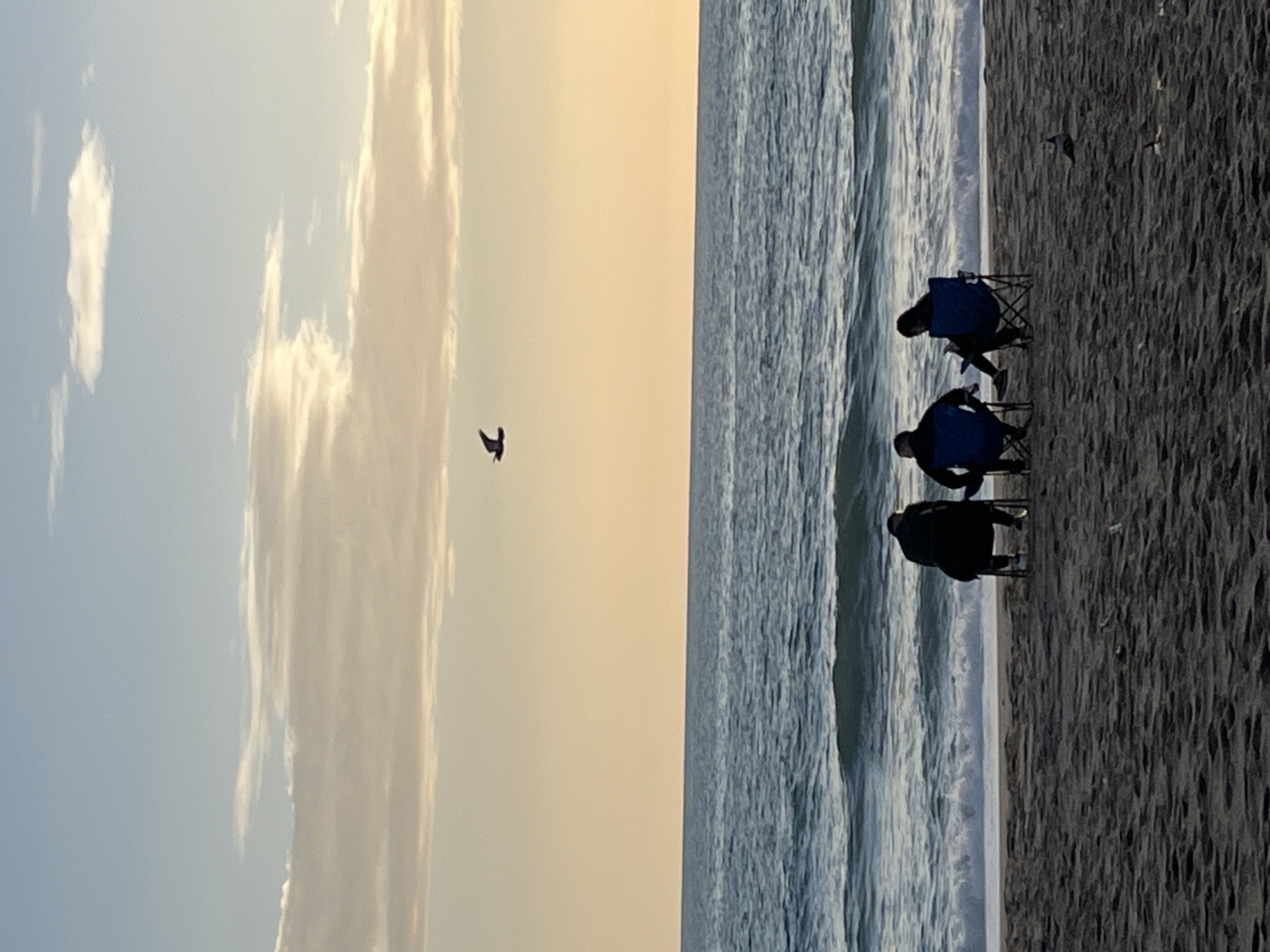 Three people sit in beach chairs on a dark sandy beach next to the ocean. The ocean water is turbulent and near the shore. In the sky, there is one bird flying. The sky appears to be at sunset. The location is Alanya, Turkey.