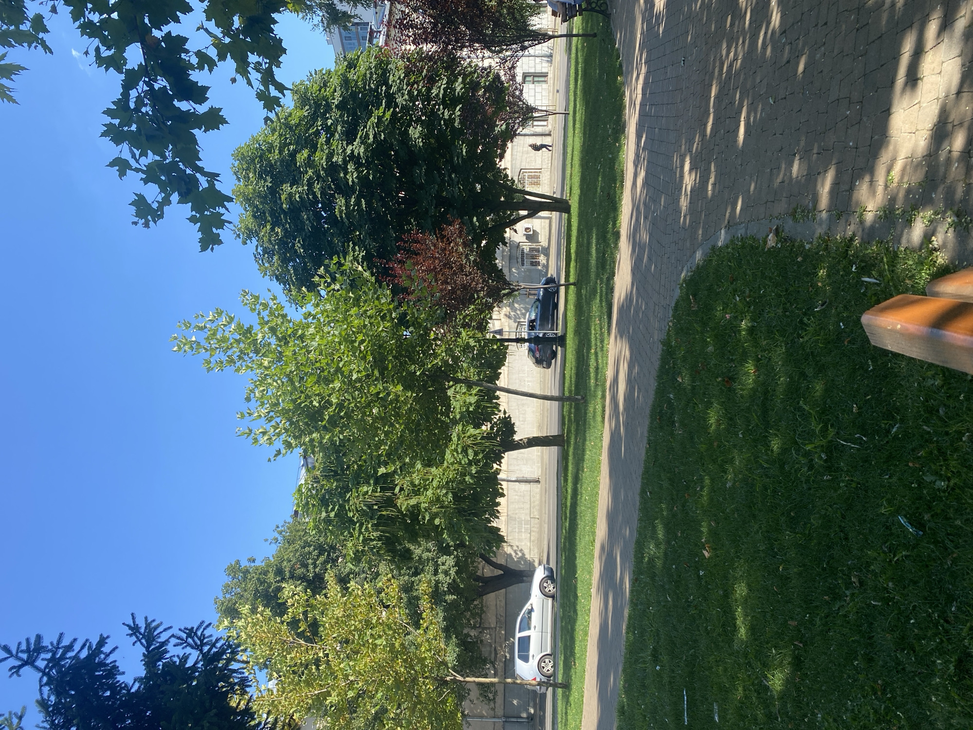 The image depicts a sunny day in a park in Iași, Romania, likely located in the vicinity of the Copou Gardens or a similar urban green space. In the foreground, a paved walkway with a patterned brick surface is visible, partially shaded by trees. To the left of the walkway is a well-maintained green lawn with scattered leaves. In the middle ground, a street runs parallel to the park, with a light-colored car and a dark-colored car driving on it. Several trees with lush green foliage line the street, and behind them, a building with a light-colored facade and visible windows is present. The sky is clear and blue, indicating fair weather. In the background, more trees and parts of buildings can be seen. A person is walking on the sidewalk next to the street, and another person is seated on a bench in the park on the right side of the image. The overall scene conveys a peaceful urban environment with a blend of natural elements and city infrastructure.