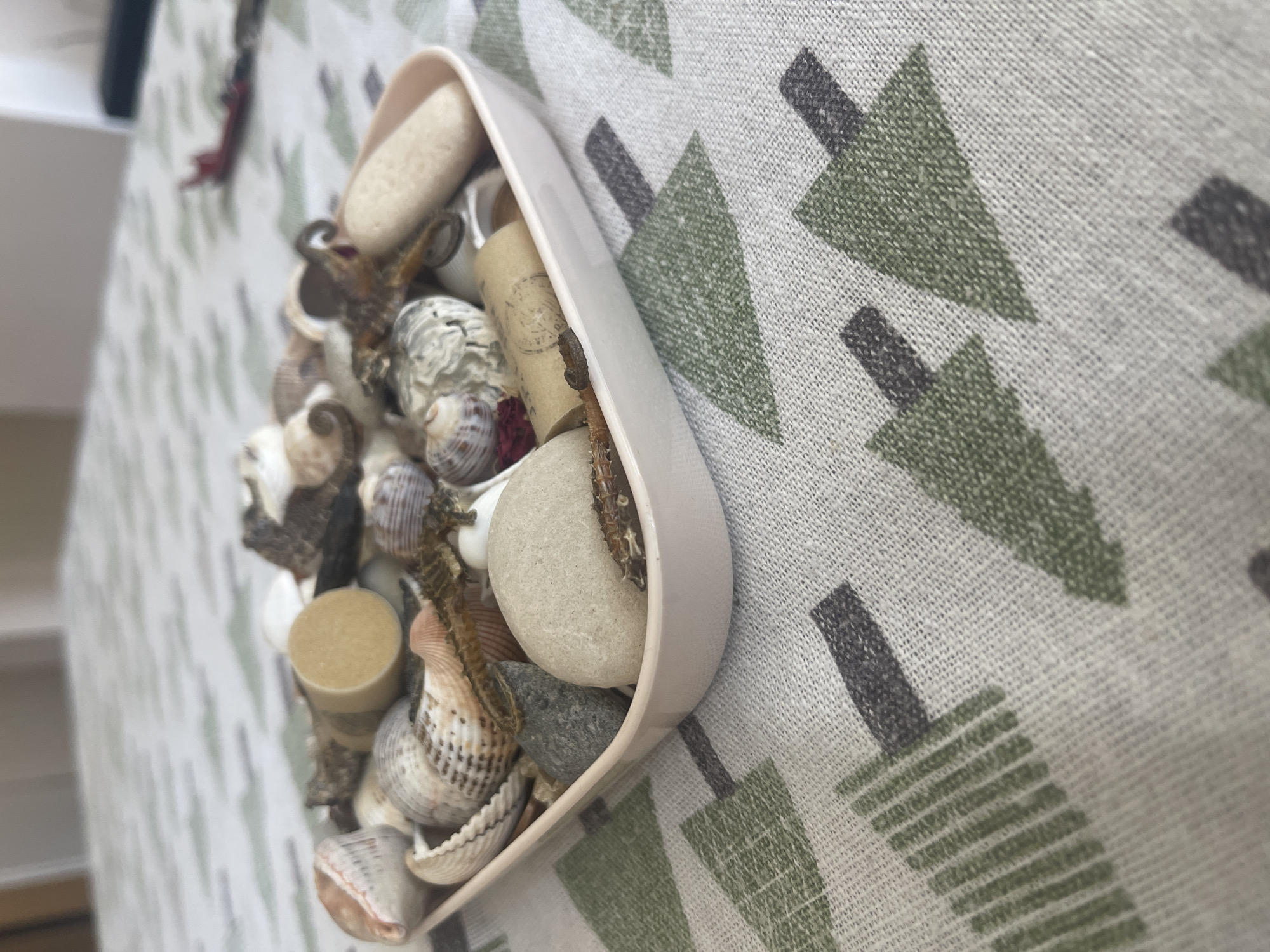 The image shows a shallow pink dish filled with various seashells, smooth stones, and dried organic matter, possibly seaweed or small pieces of driftwood. The dish is placed on a light-colored tablecloth patterned with stylized green and dark gray trees. The tablecloth has a woven texture. In the blurred background, a light-colored surface, possibly a table or countertop, is visible, along with hints of furniture. The overall scene appears to be indoors, likely in a domestic setting. There are no people visible in the image. The location in Varna, Bulgaria, is not discernible from the provided image.