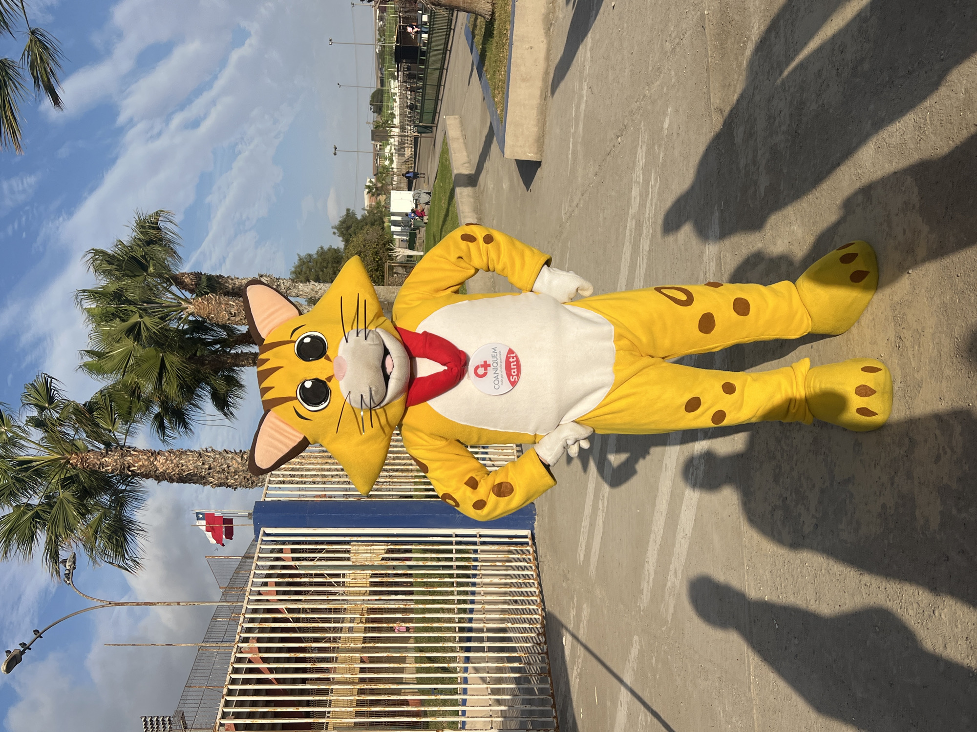 The image shows a full-body view of a person in a yellow cat-like mascot costume, standing on a concrete path in front of a white metal fence. The mascot has brown spots on its body and paws, a white chest, and a red collar with a circular badge. The badge displays a logo with text that appears to read "COANQUEN" and "SANTI". Behind the mascot, there is a tall palm tree and a blue pole with two Chilean flags. The background shows a stadium or sports complex with additional palm trees, streetlights, and a track. The lighting suggests it is either early morning or late afternoon, casting long shadows of the mascot and two other unseen individuals onto the ground. The scene is outdoors in a city environment.