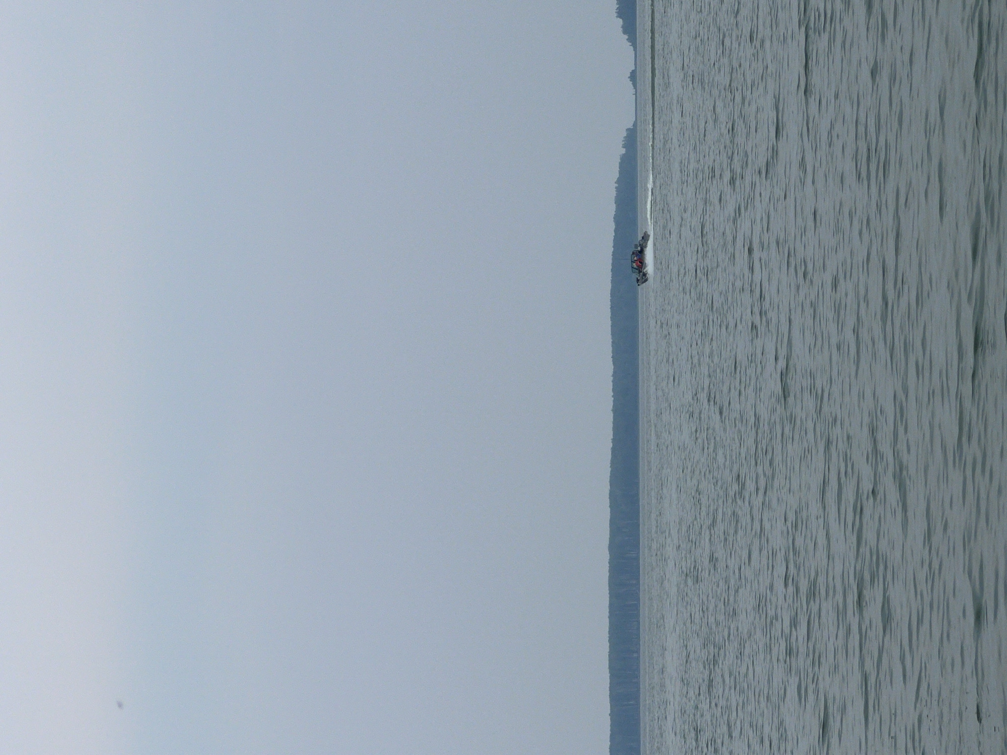 A small, gray motorboat with a dark canopy and several occupants is speeding across a calm body of water. The boat is kicking up a white spray behind it. In the background, a dense line of dark green trees forms a horizon against a pale, overcast sky. The water's surface is textured with gentle ripples. The scene appears to be set in a natural environment with no discernable city structures or landmarks from Novopichugovo.