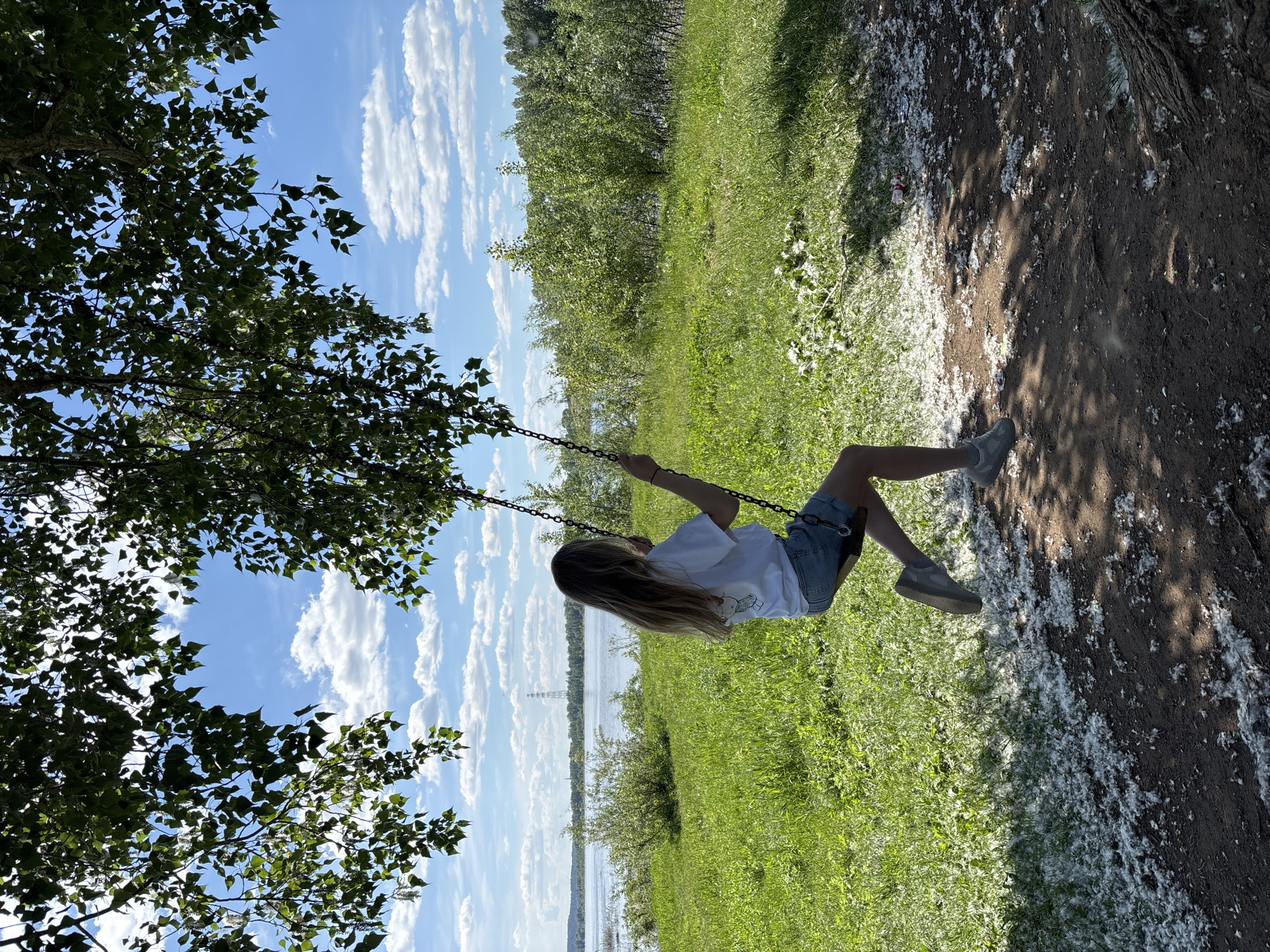 The image depicts an outdoor scene in the city of Chaikovsky, Russia, on a bright, sunny day, characterized by a clear blue sky with scattered white cumulus clouds. A young female, with long, light brown hair, is viewed from the back while swinging. She wears a white short-sleeved t-shirt with a faint graphic on the upper back, light blue denim shorts, and grey sneakers, her feet suspended above the ground. She is gripping the dark metal chains of the swing, which is suspended from a large, leafy tree. The tree's dense green foliage, featuring heart-shaped or triangular leaves and visible catkins or seed pods, frames the upper and side portions of the scene, creating areas of shade on the ground. The ground beneath the swing consists of a brown dirt path, transitioning to green grass, both heavily covered with a layer of white, cotton-like poplar fluff, indicating late spring or early summer. In the mid-ground, a wide river extends horizontally, with green foliage and bushes lining its banks. On the far bank of the river, a prominent metal lattice transmission tower is visible against the horizon, with a line of distant trees.