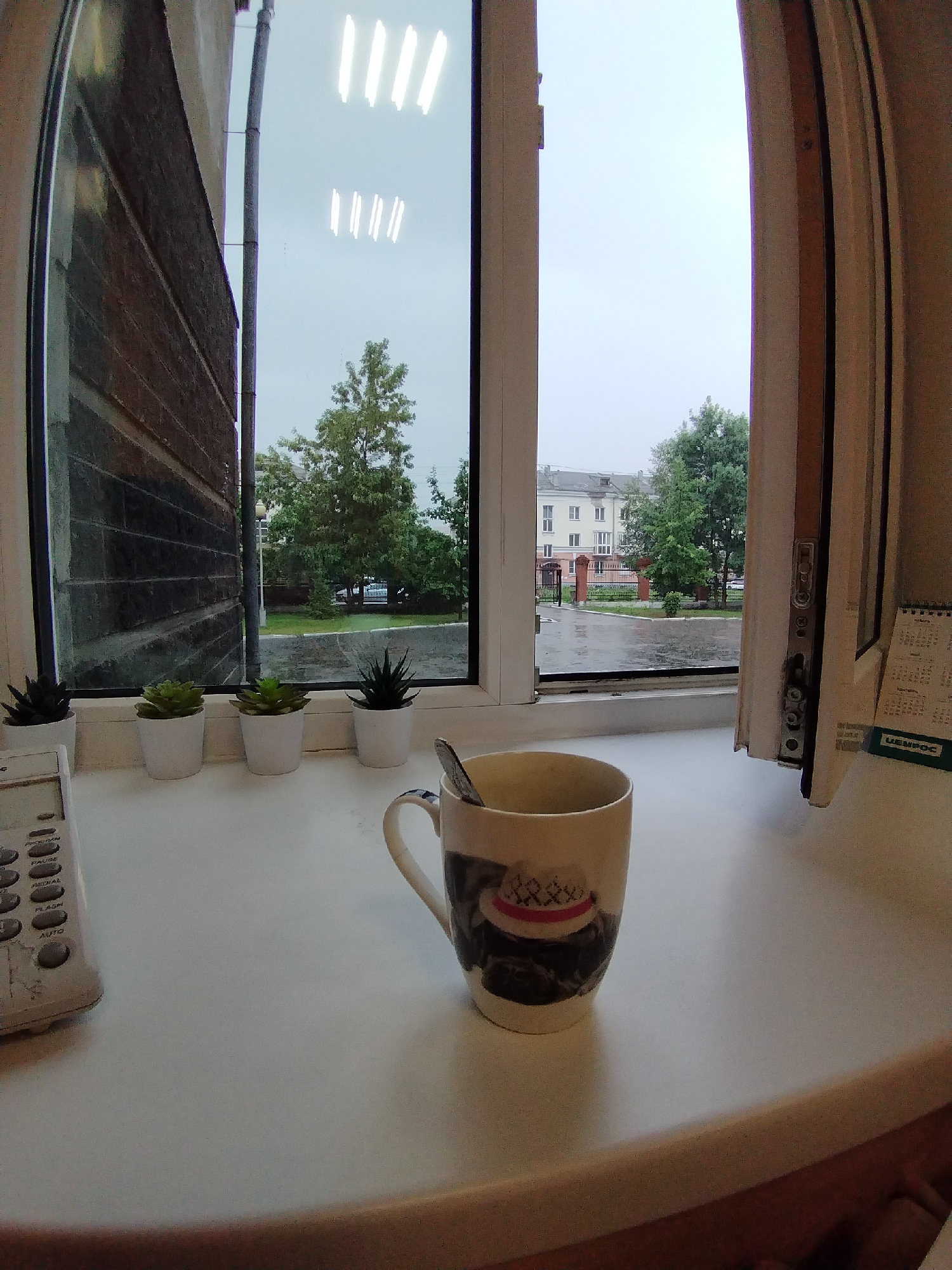 The image depicts a windowsill with various objects, viewed from inside a room looking out a window. On the windowsill, from left to right, are a white remote control with visible buttons, four small white pots containing artificial succulents, and a ceramic mug with a design of a dog wearing a hat. A spoon is resting inside the mug.
Through the window, a rain-slicked courtyard or street is visible, with a building across the way that appears to be a multi-story apartment building with a light-colored facade. Trees with green foliage line the courtyard. The sky is overcast, indicating a cloudy or rainy day. Reflections of fluorescent lights are visible on the windowpane.
To the right of the window frame, a portion of a curtain is visible, as well as a desk calendar. The exterior wall of the building to the left of the window is constructed of dark brick.
The scene is consistent with a view from an apartment in Novokuznetsk, Russia, likely during inclement weather. There are no people or animals present in the image, and no explicit actions or interactions are occurring. The overall atmosphere suggests a quiet, indoor scene on a day with poor weather conditions outside.