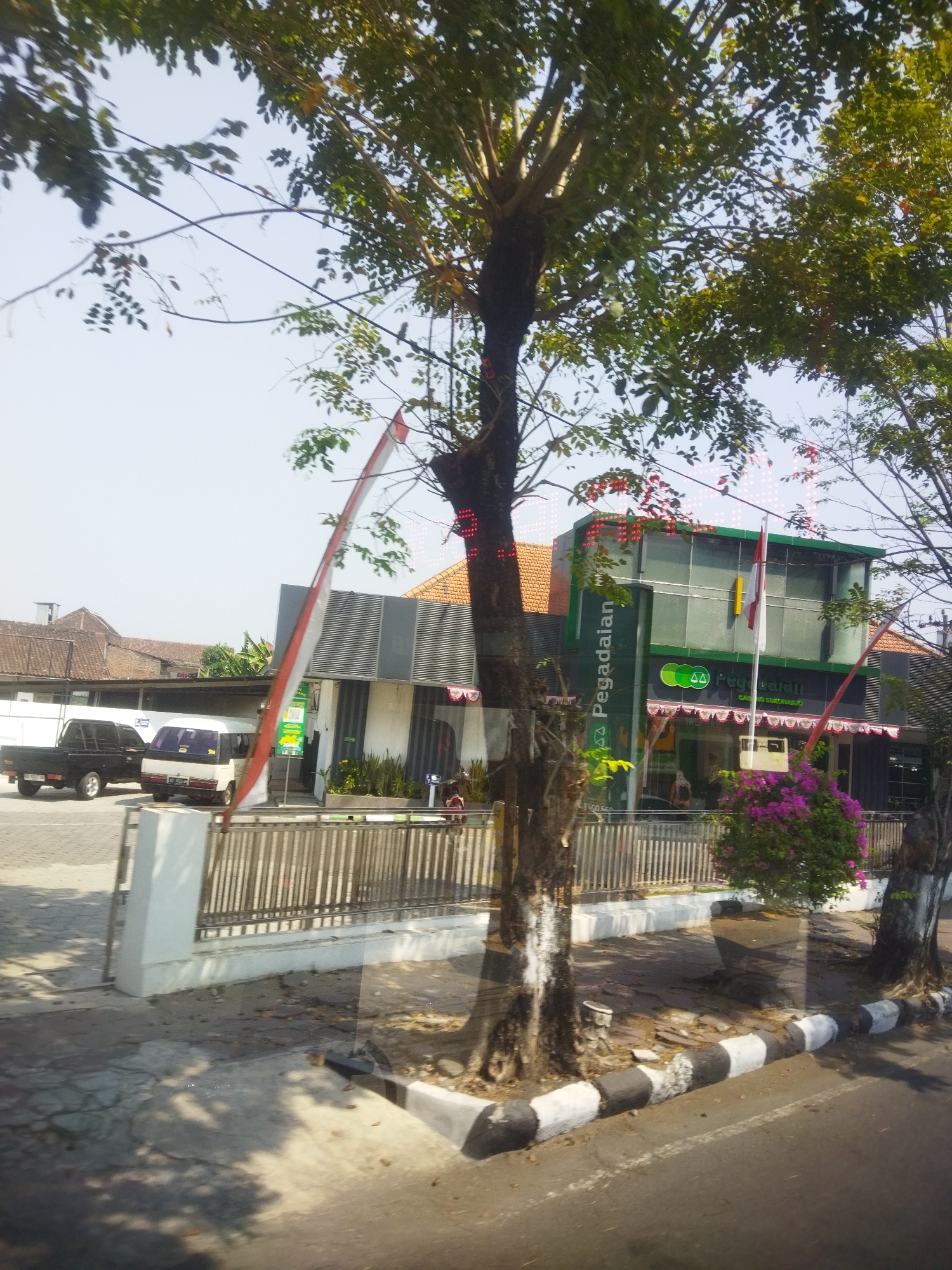 The image depicts a street scene in Sukoharjo, Indonesia, in front of a Pegadaian (Pawnshop) branch. A large tree with green foliage dominates the foreground, with its trunk partially visible. To the right of the tree, a building with a green and silver facade is visible, identified by the "Pegadaian" signage. An Indonesian flag is flying from a pole in front of the building.
In the middle ground, a metal fence separates the street from the Pegadaian. Two vehicles are parked in the lot: a black pickup truck on the left and a white van to its right. The ground in front of the building is paved with interlocking concrete blocks, and a sidewalk runs along the street, marked by black and white striped curb stones. Several smaller trees and bushes are planted along the sidewalk.
The background shows more buildings with tiled roofs, typical of residential or commercial structures in the area. The sky is clear and bright, suggesting it is daytime. Shadows are cast on the ground, indicating the sun is likely to the right of the frame. A few individuals are visible near the entrance of the Pegadaian, suggesting ongoing activity.