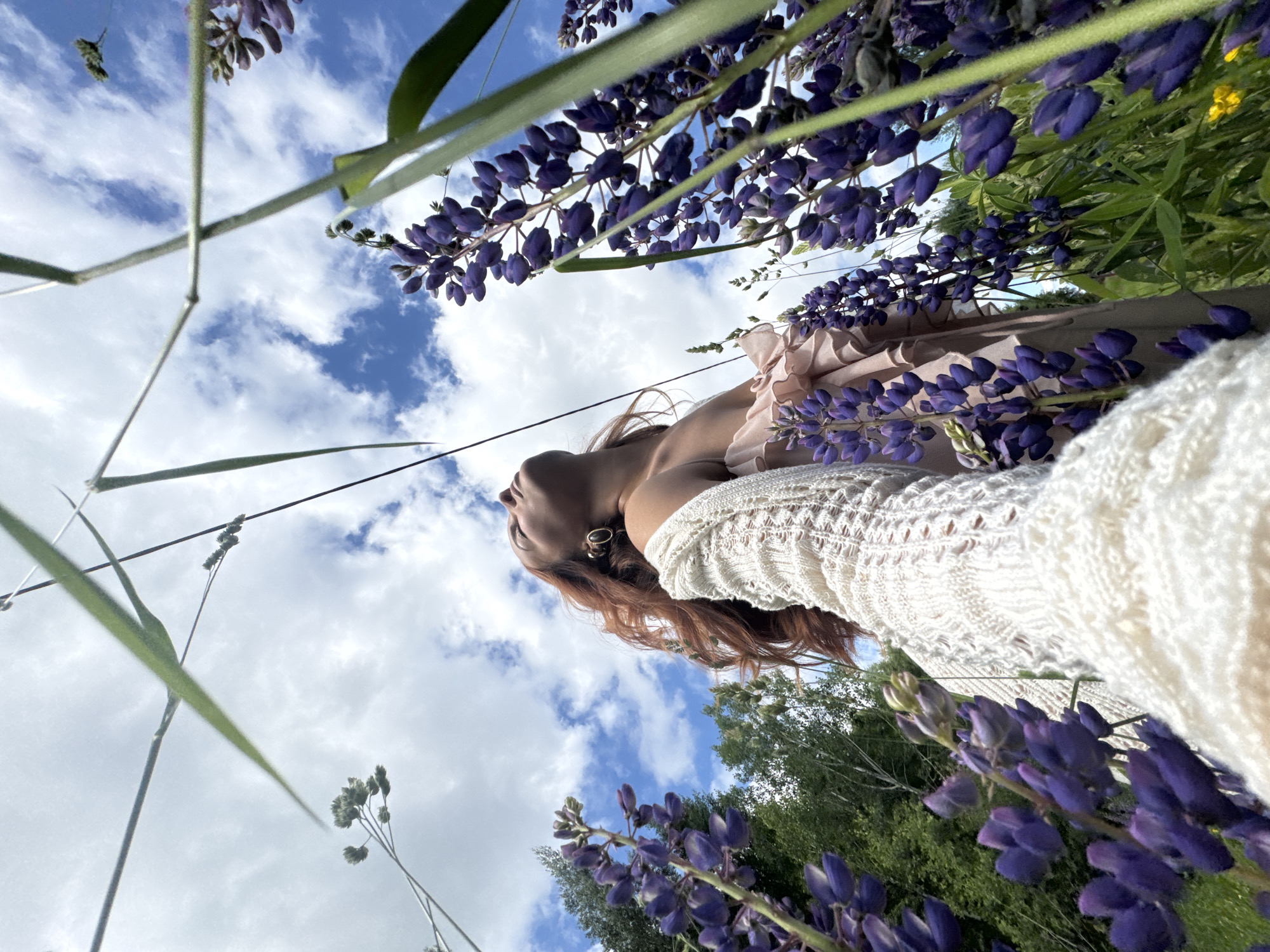 An upward angle shot captures a woman with long, auburn hair standing in a field of tall purple lupine flowers under a partly cloudy blue sky. She is wearing a light-colored, ruffled dress and a cream-colored, open-knit sweater draped over her shoulders. The woman is looking up towards the sky, with her head tilted back. Blades of grass and lupine stalks frame the foreground and obscure parts of the sky. In the background, a line of green trees is visible. The image is likely taken outdoors in a natural setting, possibly a meadow or park. The location is specified as Chaikovsky, Russia.