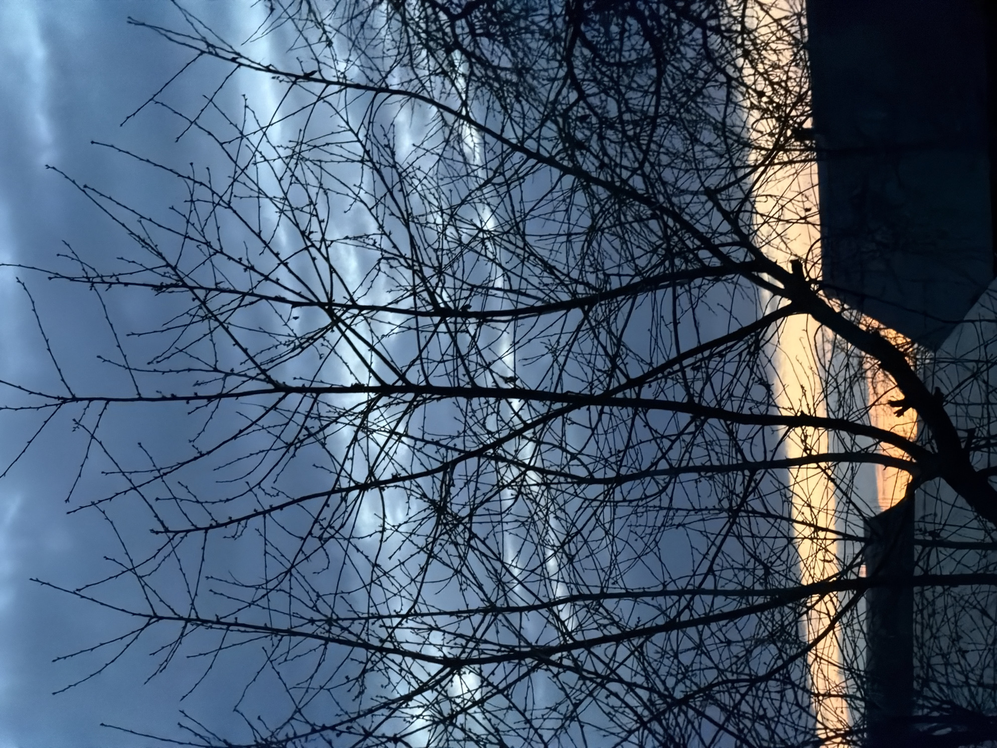 The image depicts a network of bare tree branches silhouetted against a sky with streaks of clouds. The sky transitions from a muted blue-gray to a strip of bright orange light near the right edge of the frame, where a dark, rectangular structure, possibly a building, is partially visible. The scene seems to be taken at dusk or dawn. There is no clear indication of the location being Malinovka, Russia, or any specific city. No people, subjects, actions, or interactions are identifiable in this image. The focus is on the contrast between the natural elements (branches, sky) and the built environment (the structure on the right).