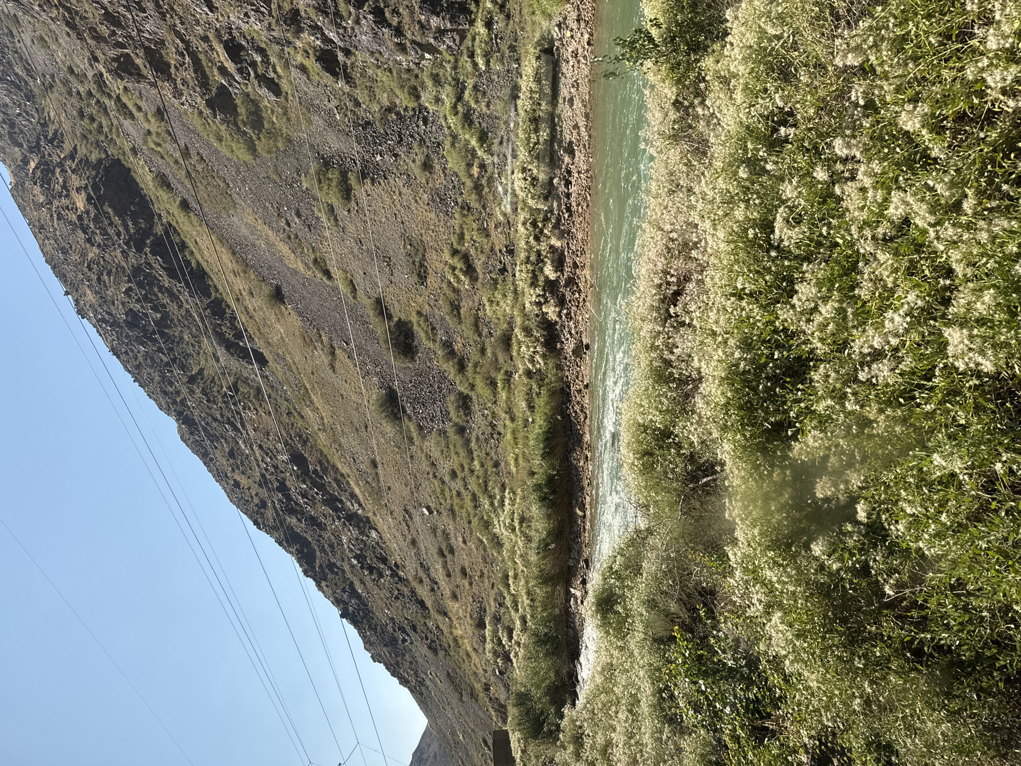 A body of water, likely a river, flows through a valley. On the right side of the frame, a steep, rocky mountain slope rises, dotted with sparse vegetation and crisscrossed by power lines. The left bank of the river is densely covered with white, fluffy wildflowers and green foliage. The water appears murky green and has ripples, indicating movement. The sky is clear and bright blue. The scene is natural and undeveloped. There are no people visible in the image. The location is specified as Krasnyy Most, Kyrgyzstan.