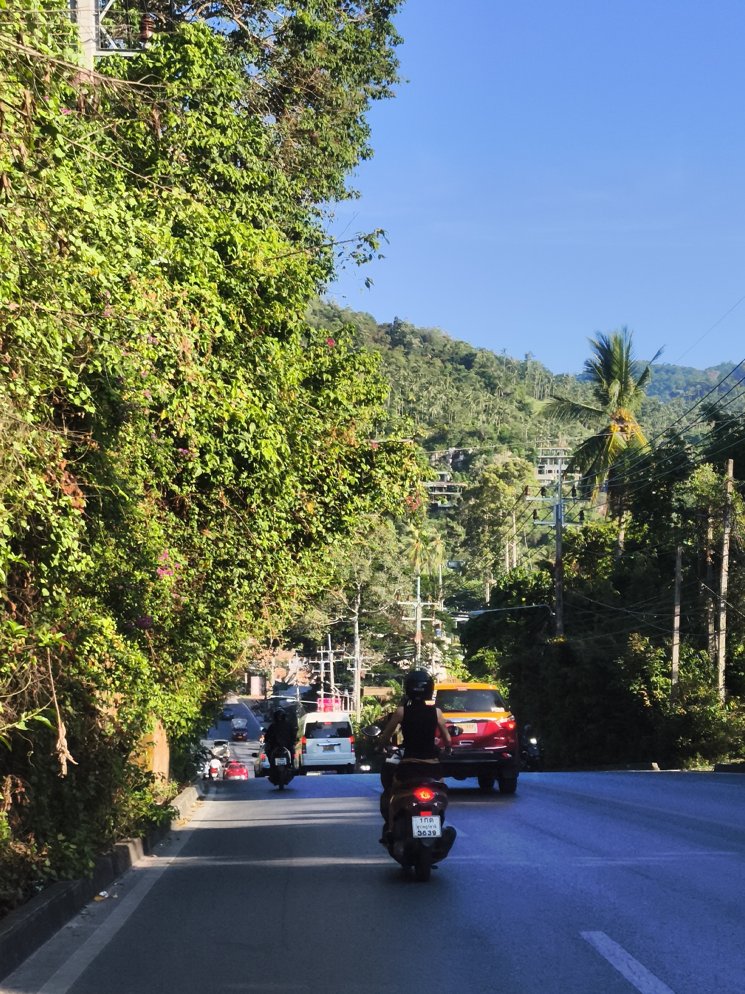 The image depicts a view from a street on the island of Ko Samui in Thailand, looking downhill towards a town or village. Lush green foliage covers the left side of the road, with a concrete barrier along the edge. Several vehicles are visible on the asphalt road, including motorbikes and cars. In the foreground, a person on a motorbike is riding away from the camera, wearing a black sleeveless shirt and helmet. Further down the road, a red and yellow taxi is seen, followed by other vehicles. The background features a densely forested hillside with numerous buildings interspersed among the trees, and utility poles with numerous wires crisscross the scene. The sky is a clear, bright blue. The overall impression is of a tropical, inhabited mountainous region.
