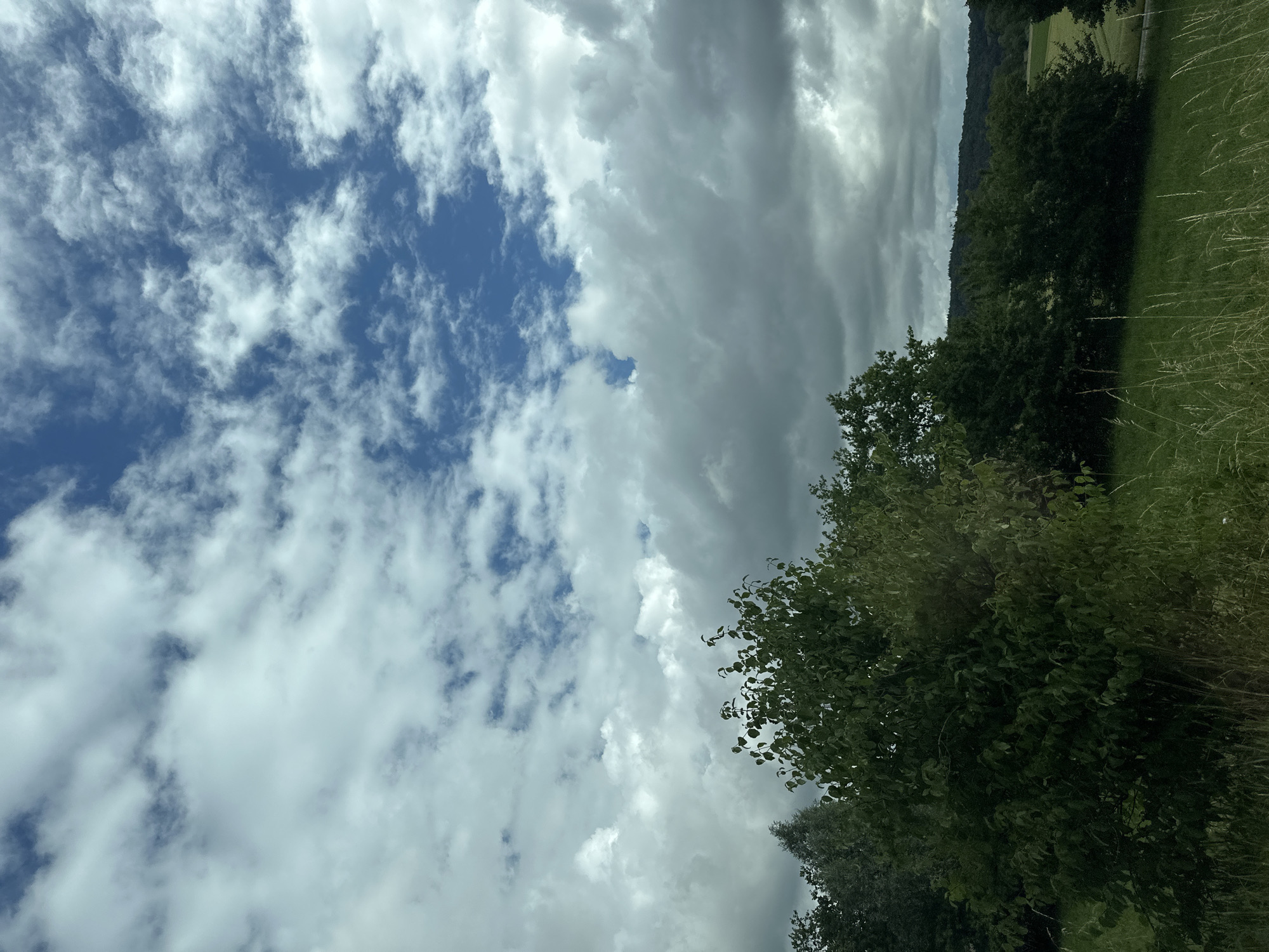 The image displays a natural landscape scene, likely in a rural or semi-rural setting within Zurzach, Switzerland. The upper two-thirds of the frame are dominated by a contrasting sky. On the left, patches of vibrant blue sky are visible through scattered, wispy white clouds, indicative of fair weather. In stark contrast, the right side of the sky features a dense expanse of uniform, dark grey clouds, suggesting overcast conditions or an approaching weather front.
In the foreground on the right, a large, leafy deciduous tree with rich green foliage partially extends into the frame. Further into the mid-ground, a forested hill or mountain range stretches horizontally, its dark green canopy silhouetted against the sky. Below this treeline and on the far right foreground, areas of green grass and some taller, dry vegetation are visible.
No people, animals, or man-made structures are present in the image. The scene captures a moment of dynamic weather during daylight hours, with a clear distinction between two types of cloud formations. There is no visible text.