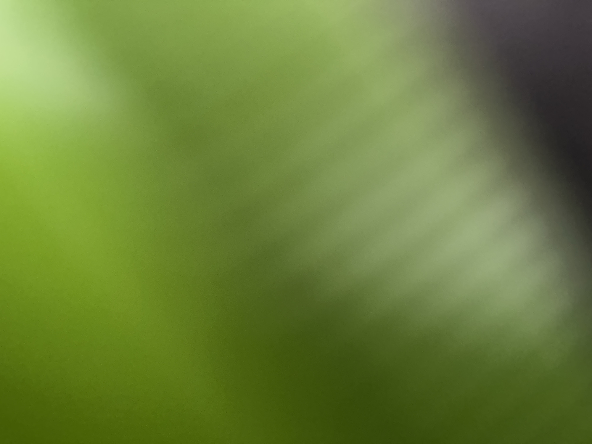 The image is an abstract, out-of-focus photograph with a dominant green hue. Diagonal streaks of lighter green and white light are visible against a darker background that transitions to a deep gray or black at the bottom right. There are no discernible people, subjects, objects, actions, or interactions. The image lacks any specific details that would allow for identification of a location, including in Belgrade, Serbia.