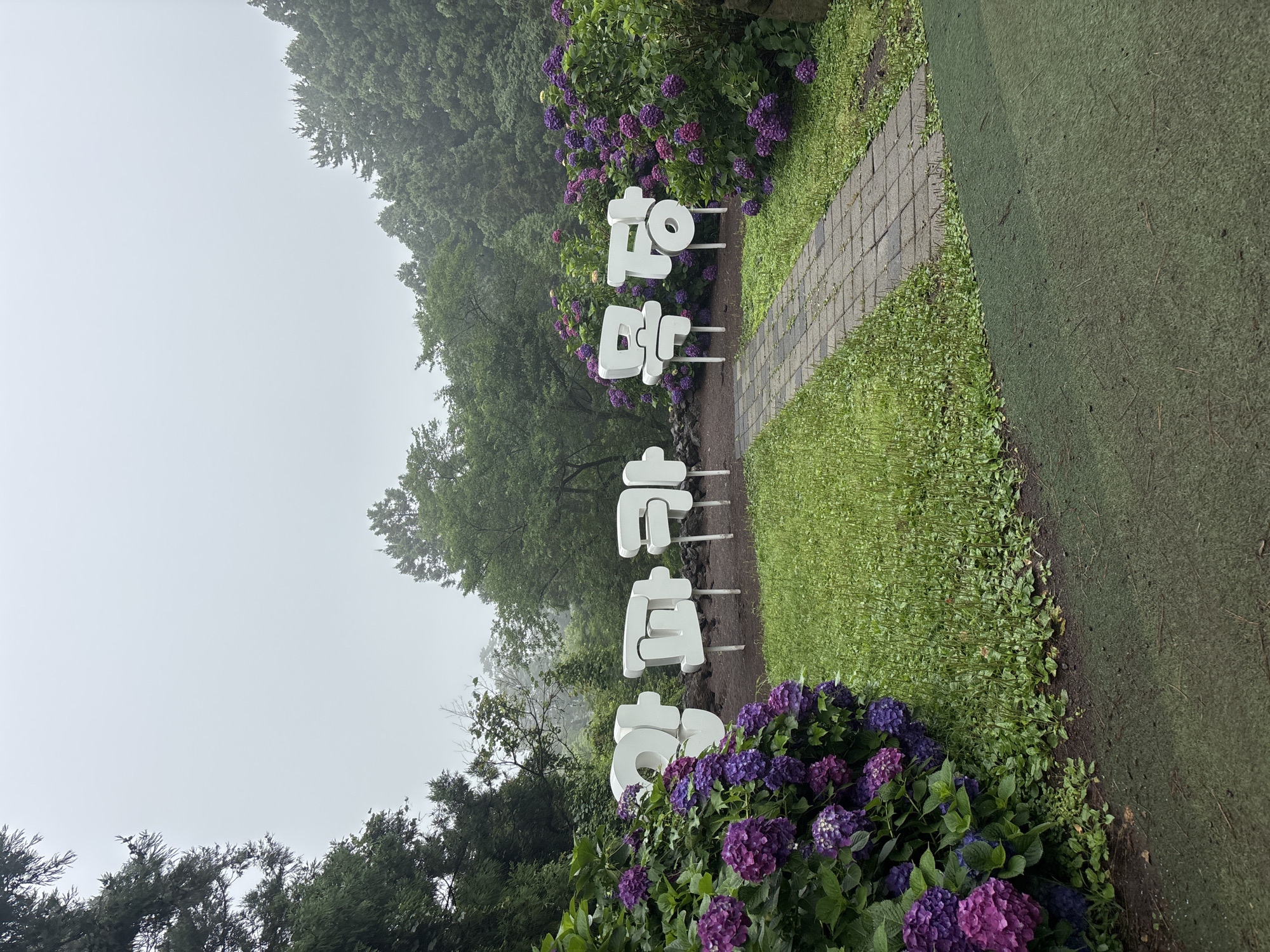 In Jeju, South Korea, white block letters spelling out "아부오름" are set against a backdrop of lush green trees and a hazy sky. The letters are placed in front of a dense cluster of vibrant purple and pink hydrangeas. A stone pathway leads through a grassy area towards the sign, with more hydrangeas and foliage lining the sides. The overall scene depicts a serene and natural landscape, likely a park or garden.