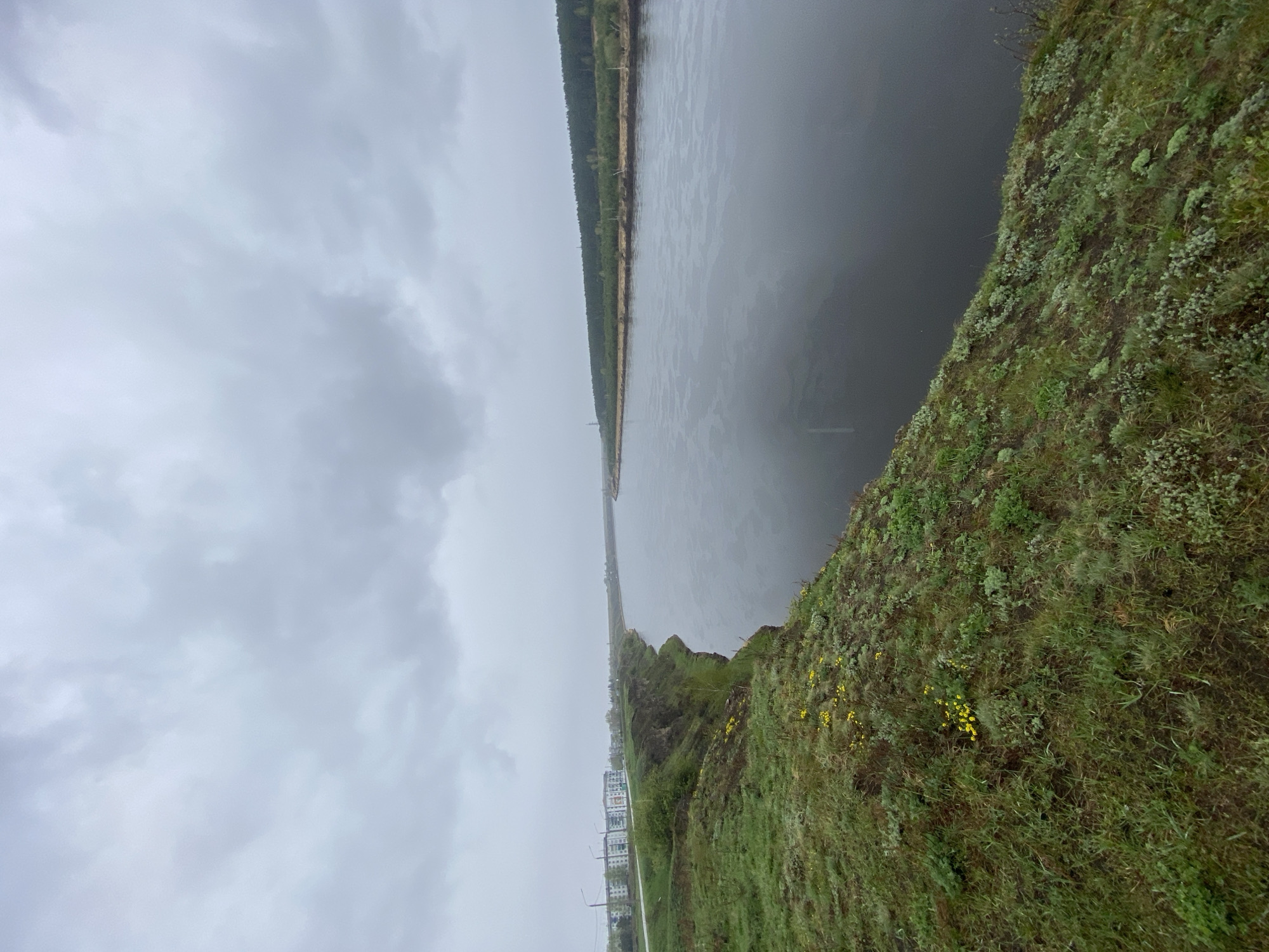 The image shows a body of water, likely a river or large lake, under a cloudy sky. A grassy bank with patches of moss and small yellow flowers is visible in the foreground. In the distance across the water, a tree line borders the opposite shore. Some buildings are visible on the left side, along with a pedestrian path. The location is potentially in or around Novomaltinsk, Russia, considering the prompt's reference to the city.