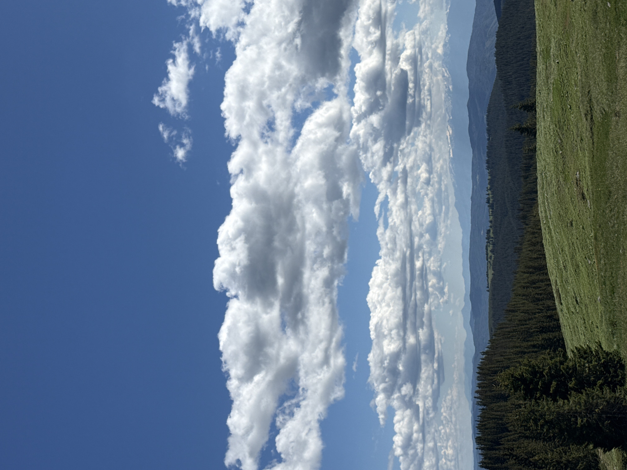 The image depicts a mountain landscape under a bright blue sky with scattered white clouds. In the foreground, a rolling green hill slopes upwards. Behind the hill, a dense forest of dark green coniferous trees stretches across the mid-ground. Further in the distance, multiple layers of blue-toned mountains recede into the horizon, with the farthest peaks appearing snow-capped. The scene is entirely natural, with no man-made structures or individuals visible, suggesting a remote or wilderness location. The specific location in the city of Konarsko, Bulgaria, is not visually identifiable from the image content.