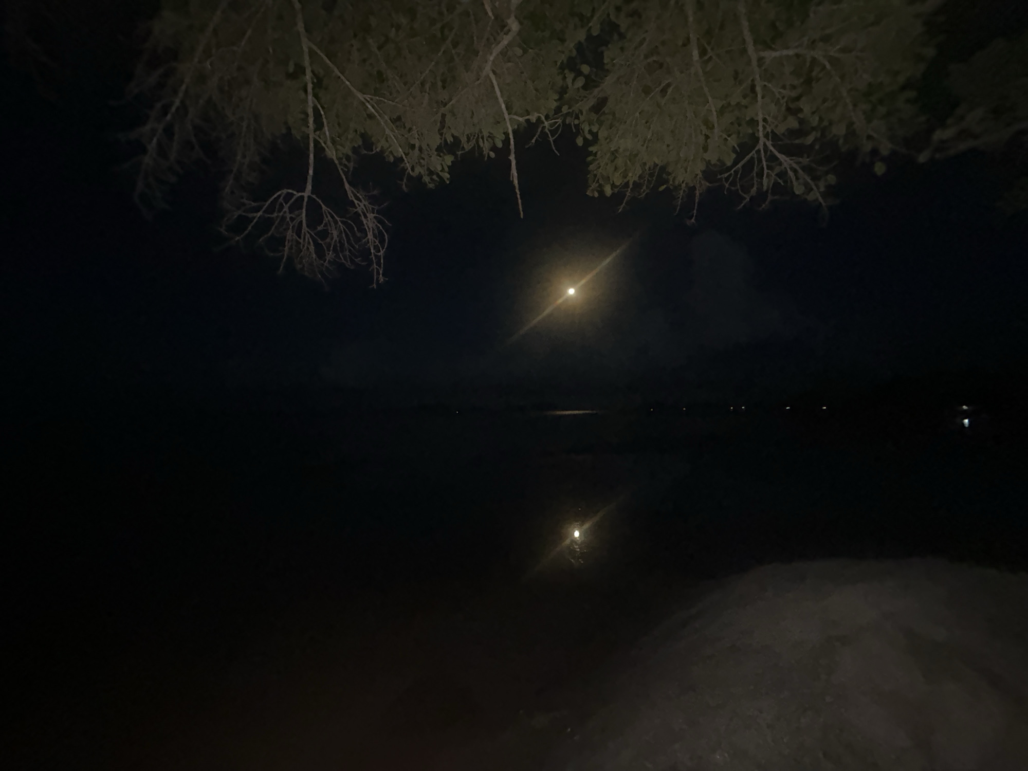 The image depicts a night scene at Ban Bang Khao, Thailand, featuring a body of water reflecting the light of a full moon. Tree branches and leaves are visible in the upper portion of the image, obscuring the sky. The foreground includes what appears to be a shoreline or bank. The water surface is dark with the reflection of the moon. There are faint lights visible on the horizon across the water, suggesting distant human activity. The image is dimly lit, dominated by shades of black and grey.