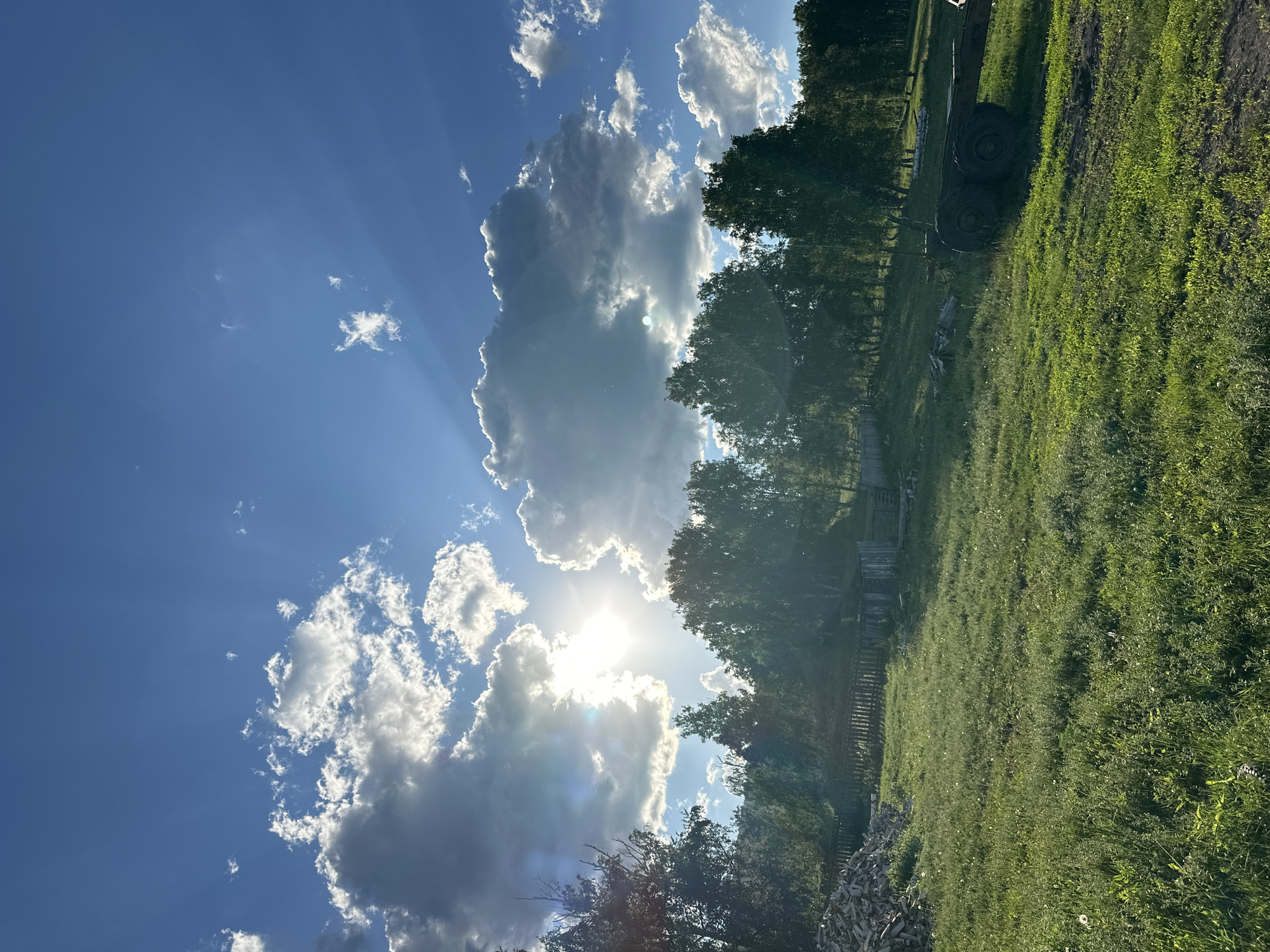 The image depicts a rural landscape under a partly cloudy sky with the sun shining through, creating visible rays. In the foreground, a lush green grassy field slopes upwards, with scattered white wildflowers. To the left, a large pile of cut wood is stacked near a rustic wooden fence. The middle ground features a line of trees, primarily deciduous, with some appearing to be birch trees. Behind the trees, there is a hint of wooden structures and a weathered fence. To the right, a large, dark-colored trailer with four heavy-duty wheels is parked on the grass. The background is dominated by a dense forest. The overall impression is of a serene, undeveloped natural setting.