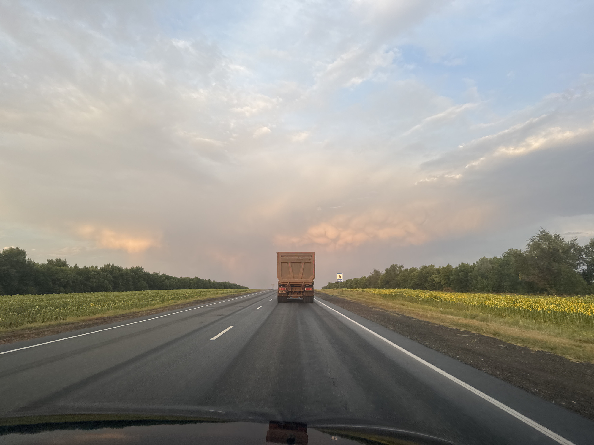 A forward-facing view from a vehicle on a wet, multi-lane highway shows a large, brown dump truck ahead. The truck is in the right lane, centered in the frame. The highway is flanked by fields of sunflowers and a dense line of trees. The sky above is a mix of clouds, with pastel pinks and oranges near the horizon, transitioning to blue overhead. A road sign indicating "25km" is visible on the right side of the road. The scene appears to be a landscape setting, possibly on the outskirts of Perevolotsky, Russia, given the context provided. There are no people or other vehicles immediately visible in the frame besides the truck and the implied vehicle the photograph is taken from.