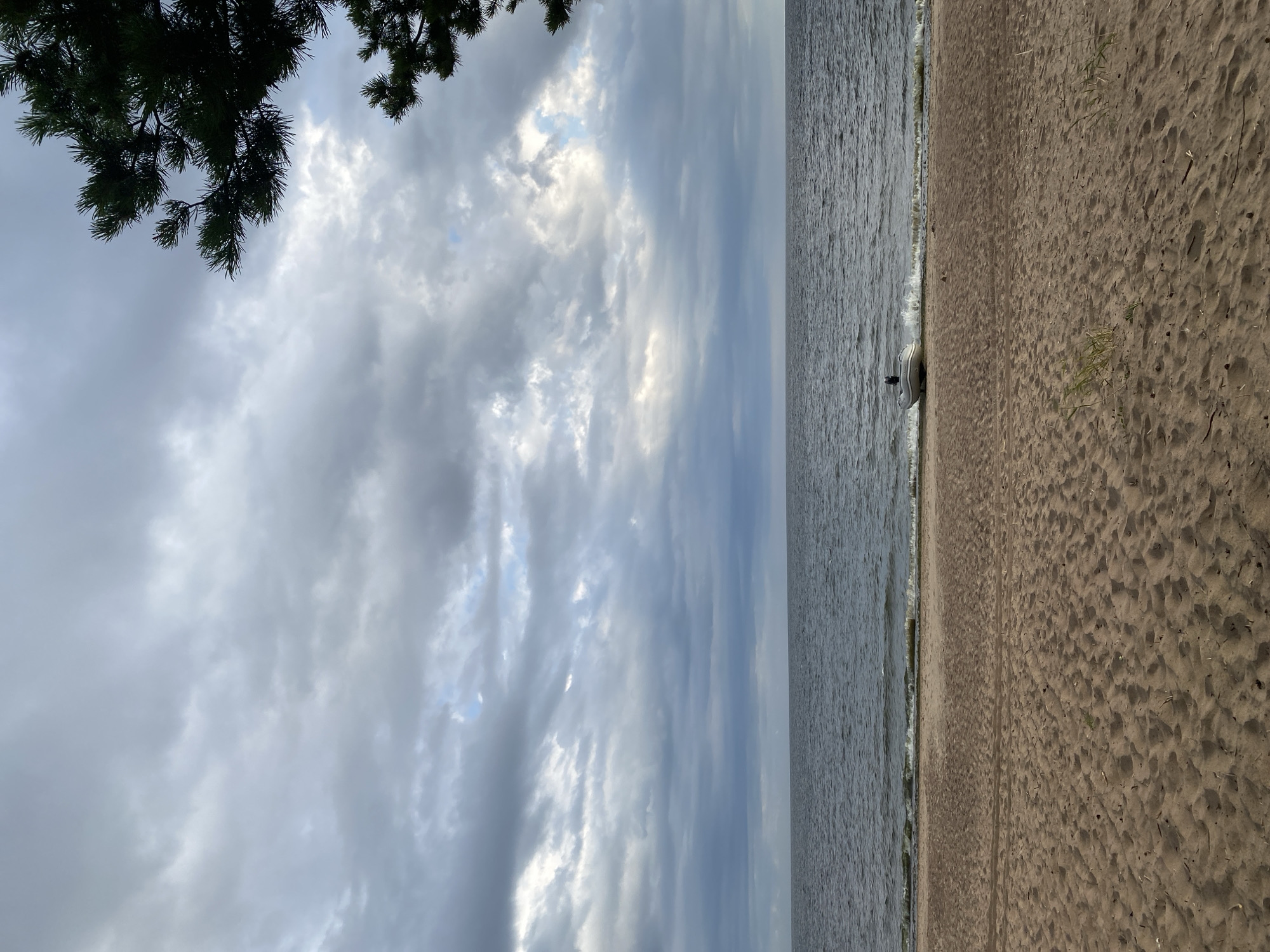 The image depicts a beach scene with a calm body of water and an overcast sky. The foreground is a sandy beach with tire tracks and scattered debris. In the midground, a small, inflatable boat is partially submerged at the water's edge. The water is dark gray and appears to be a large lake or sea. The sky is filled with a dense layer of gray clouds, with some patches of lighter sky visible. A dark green pine tree branch is visible in the upper right corner, framing the scene. The location is identified as Baltiiskoe, Russia.