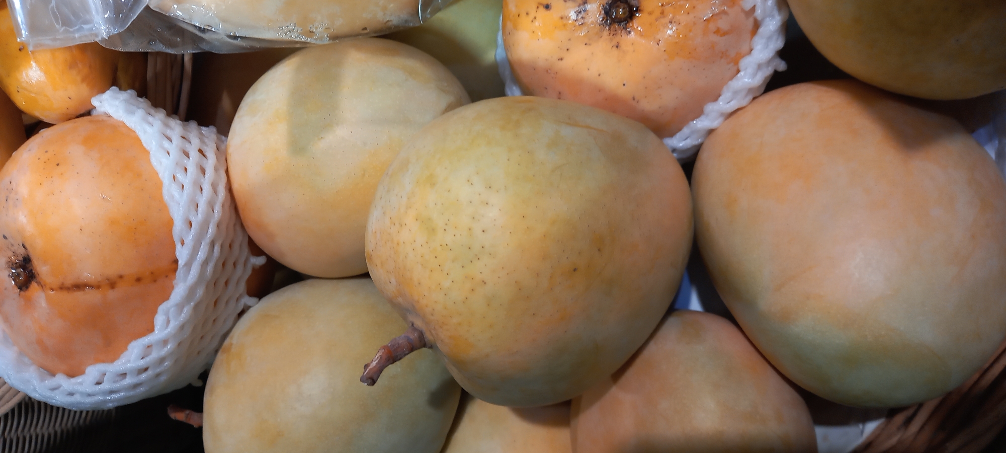 A close-up shot of a basket filled with mangoes. Some of the mangoes are wrapped in white foam nets. The scene is brightly lit and focuses on the pile of fruit. The photo was taken in Moo 1, Thailand.